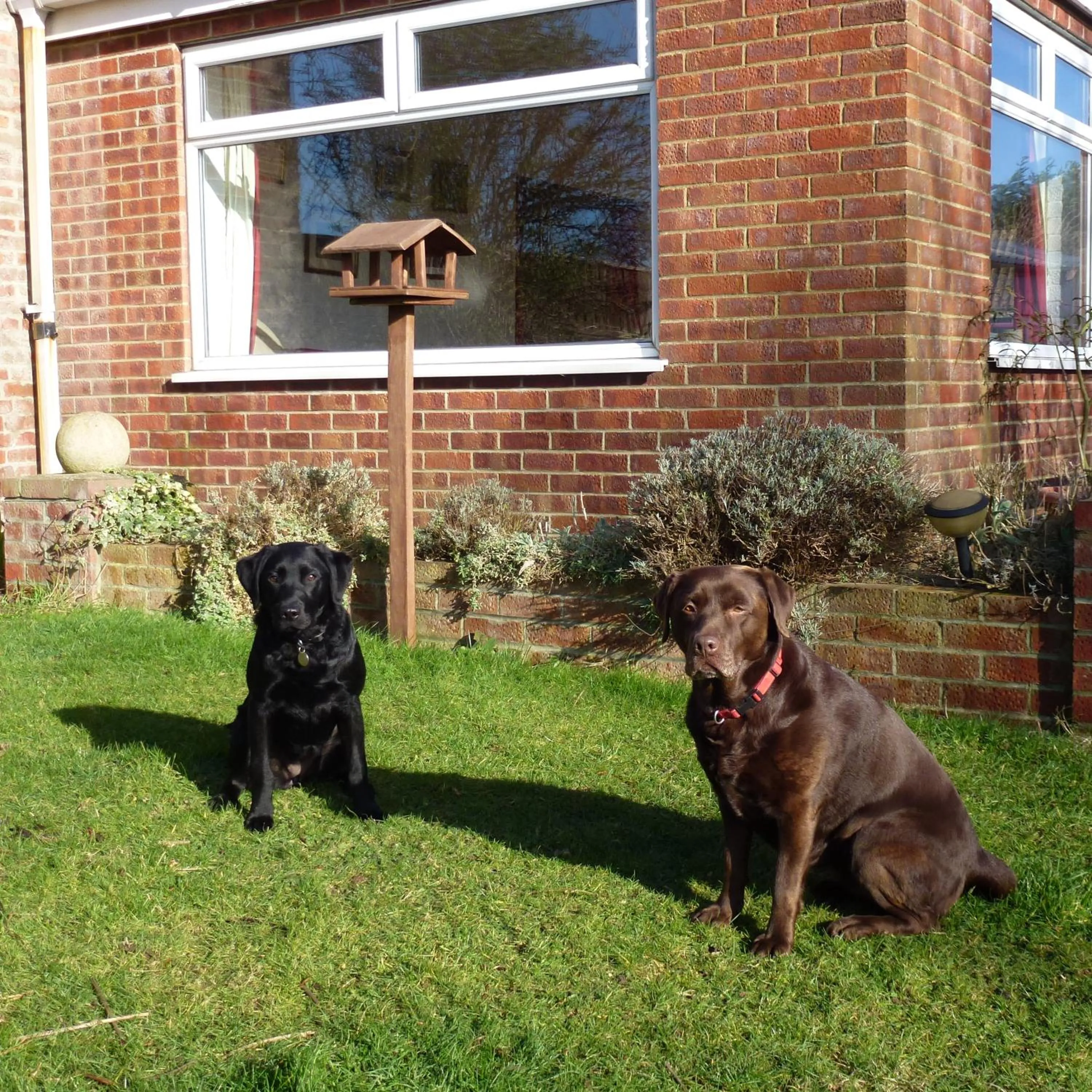 Pets in Manor Farm Stay