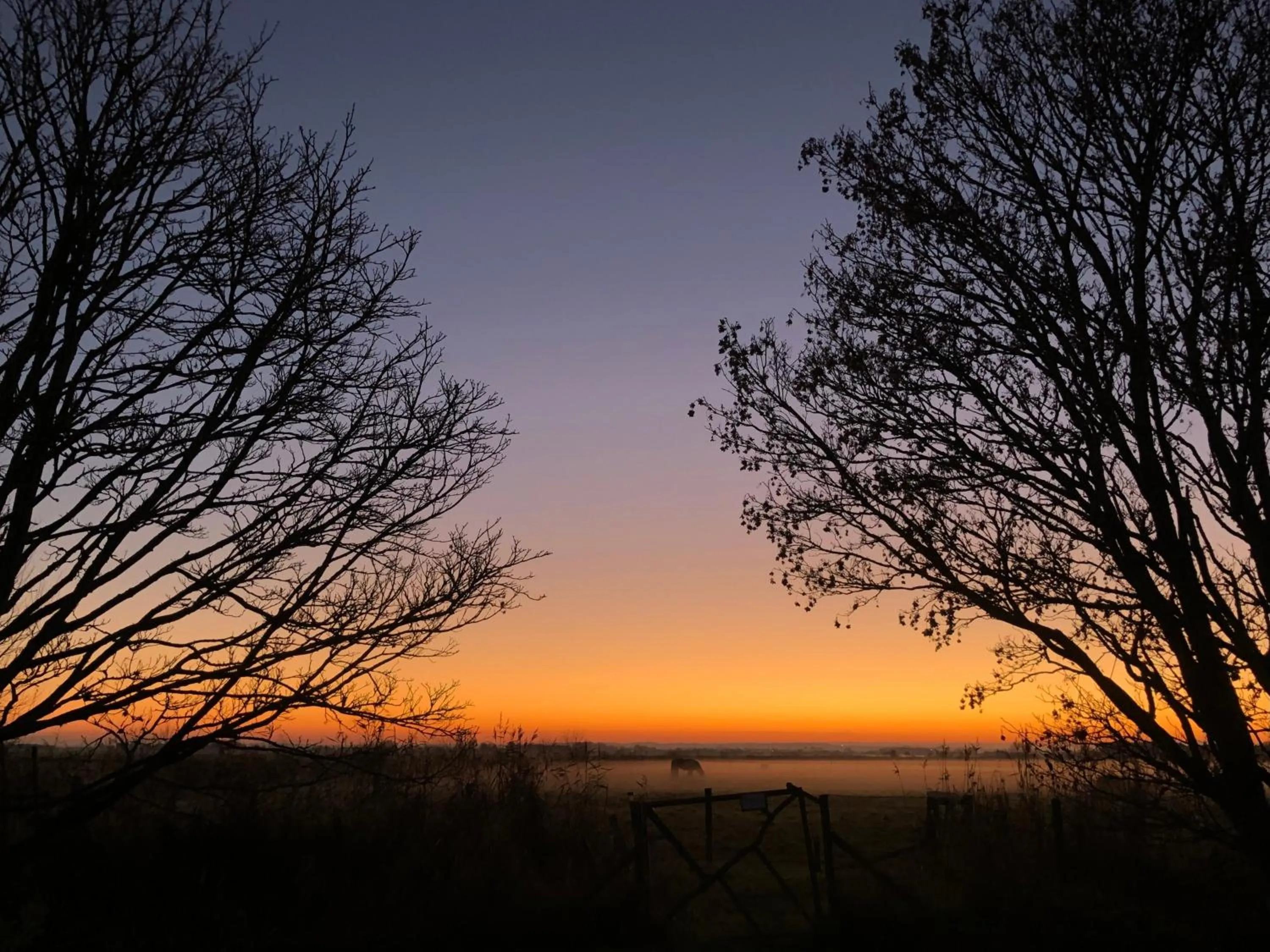 Natural landscape in Manor Farm Stay