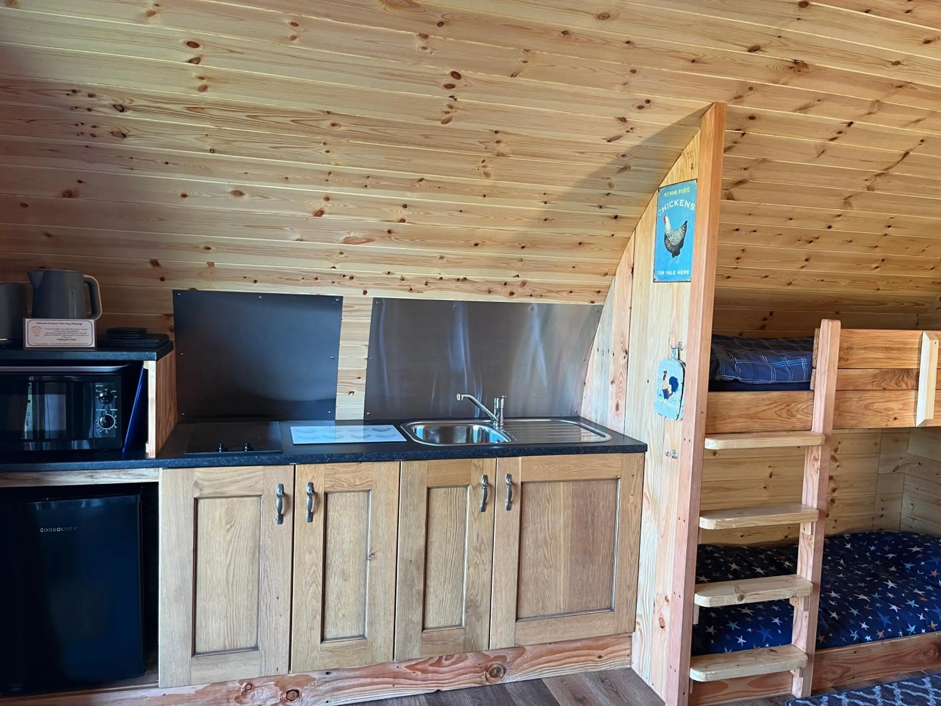 Kitchen or kitchenette in Manor Farm Stay