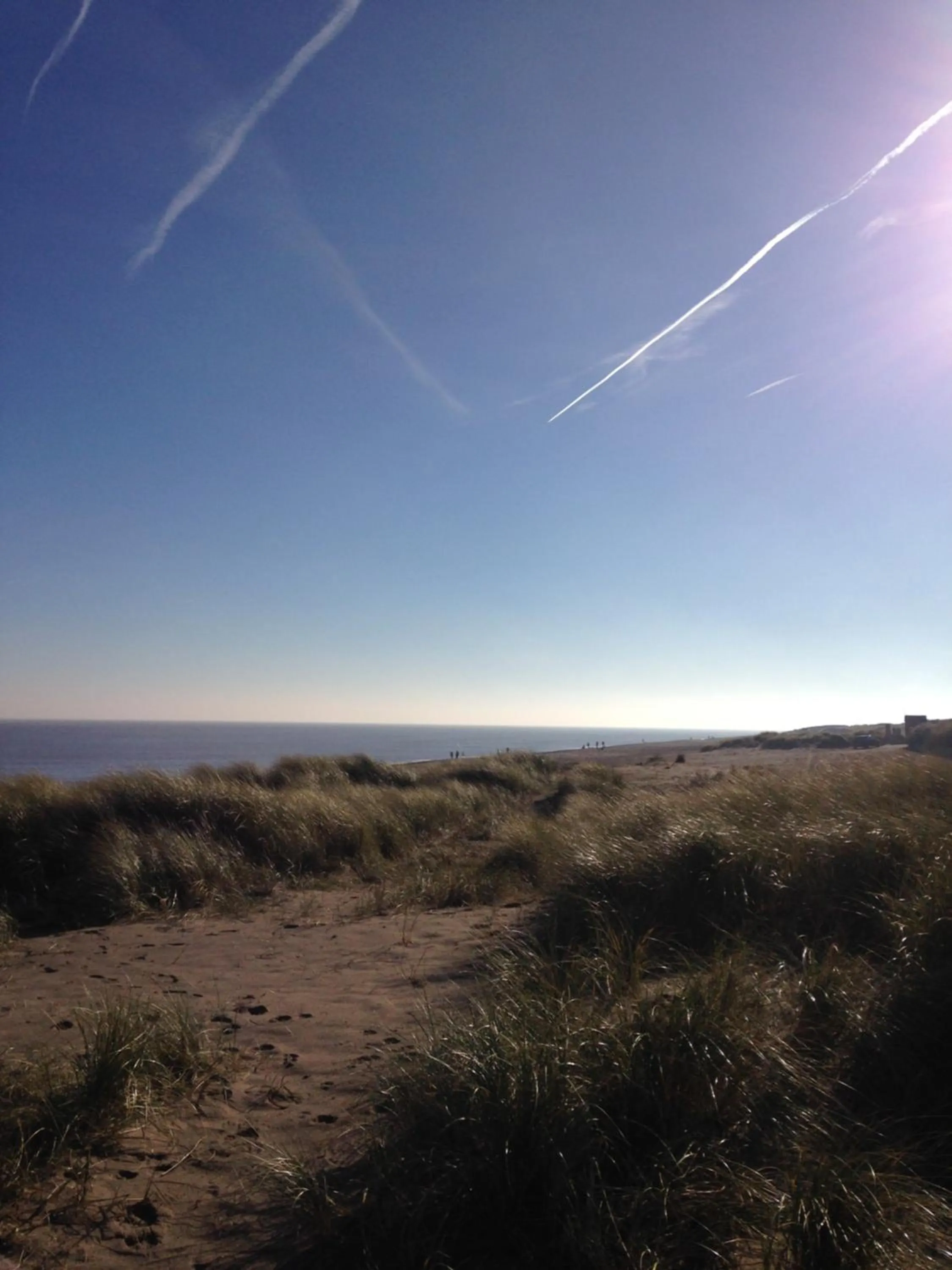 Natural landscape in Manor Farm Stay