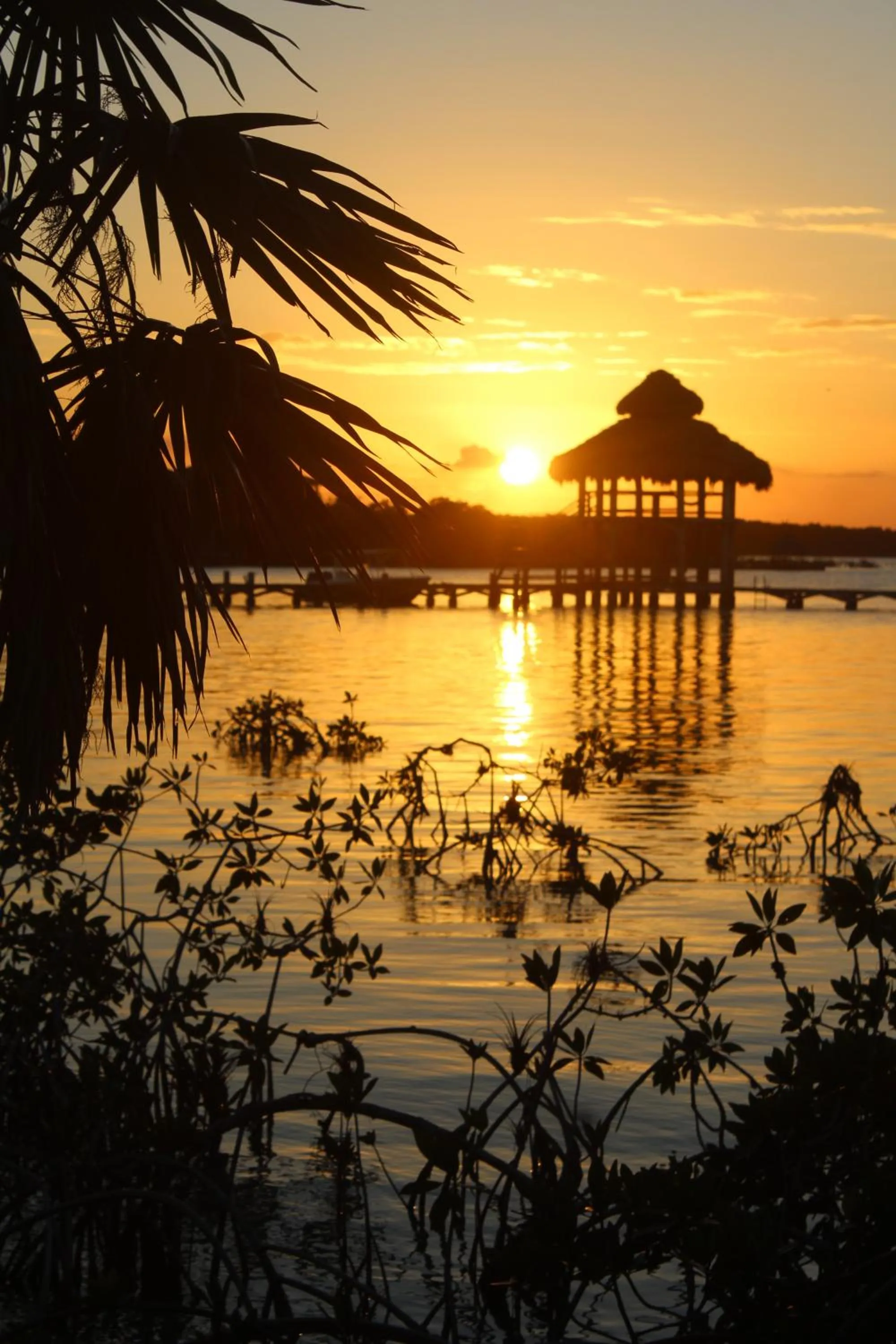 Property building in The Crimson Orchid Inn at Orchid Bay