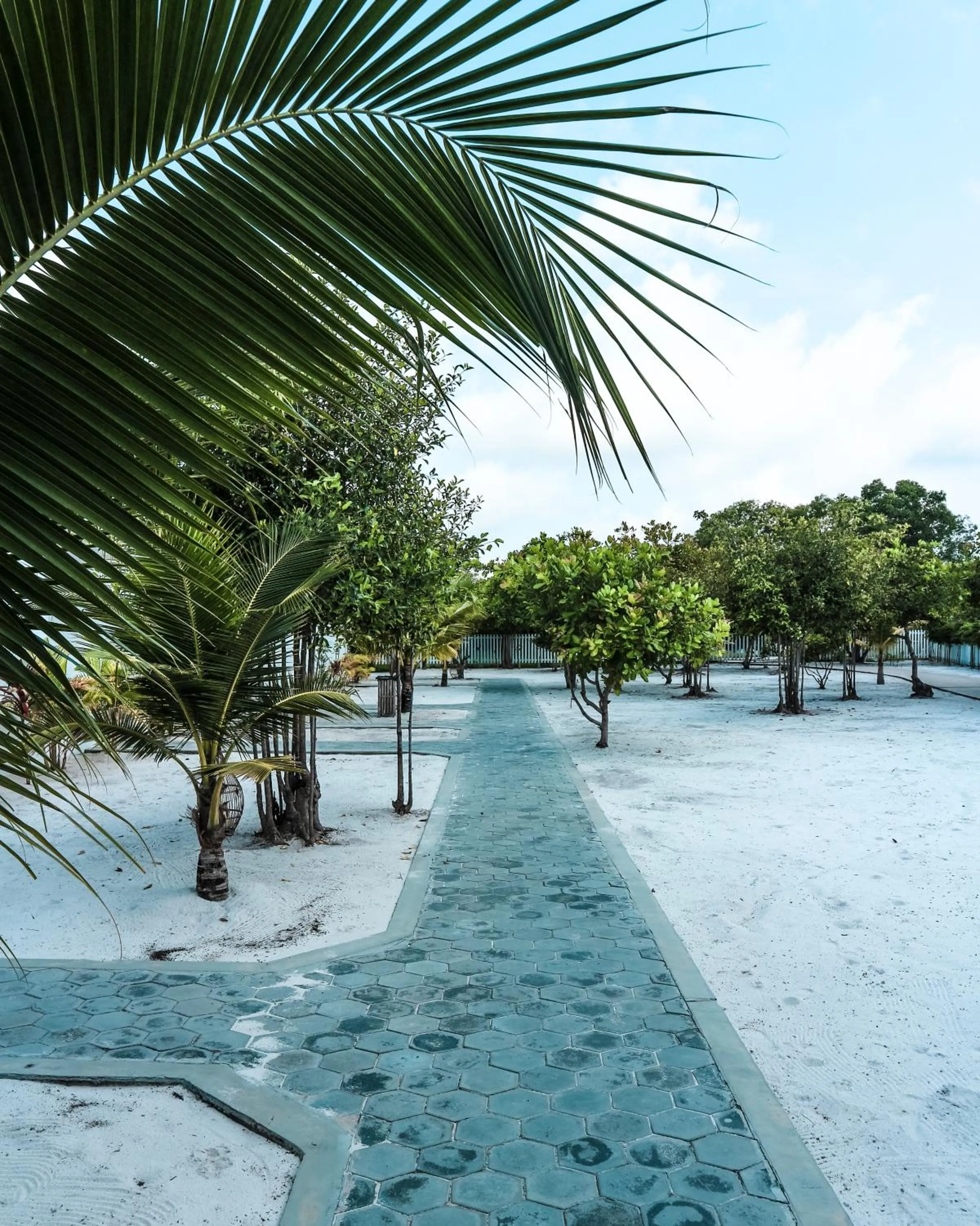 Natural landscape in Long Set Resort