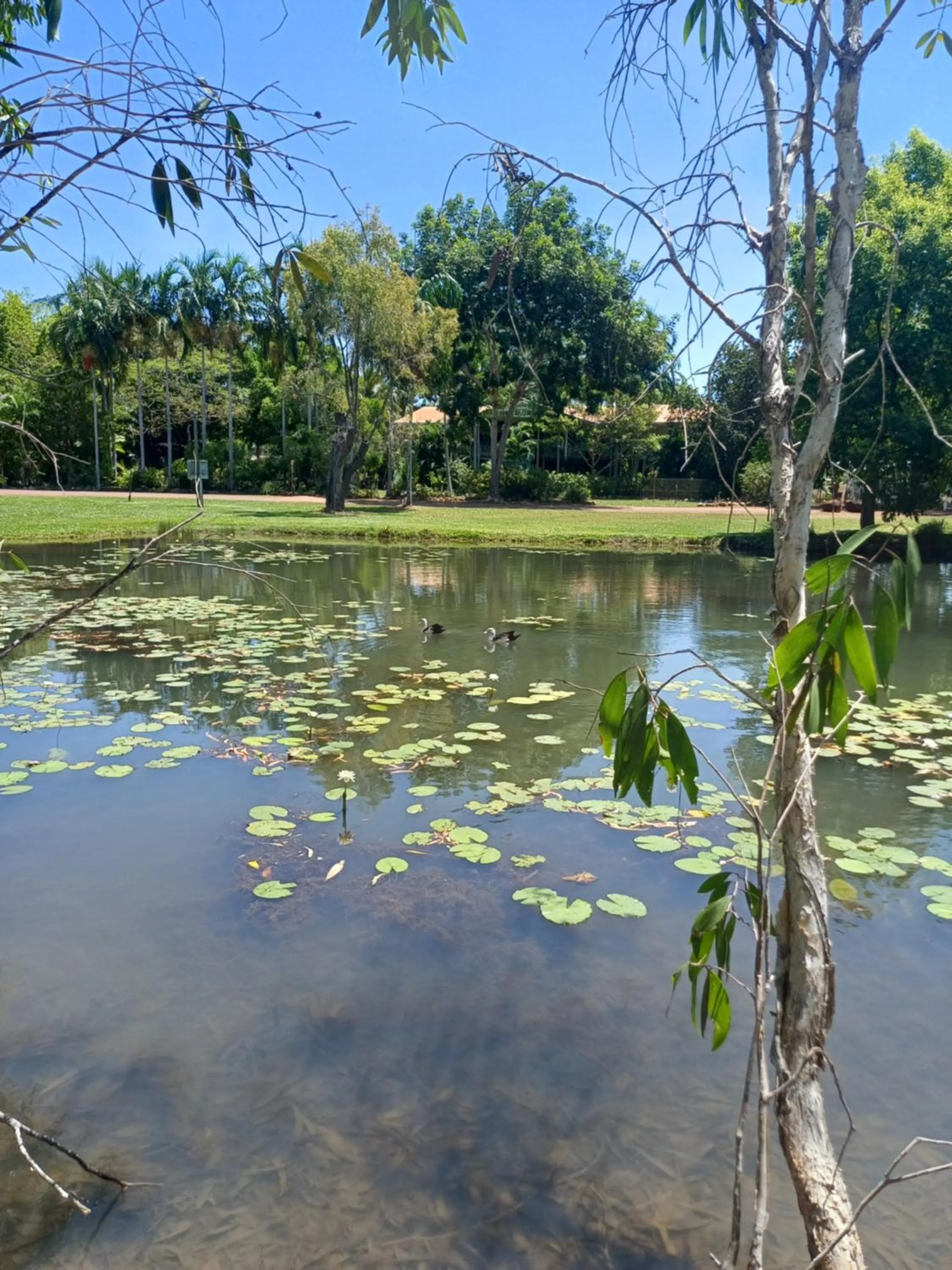 Garden in AAOK Lakes Resort and Caravan Park