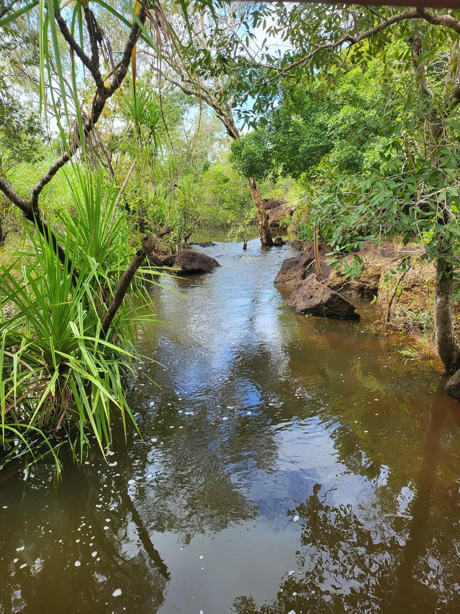 Day in AAOK Lakes Resort and Caravan Park