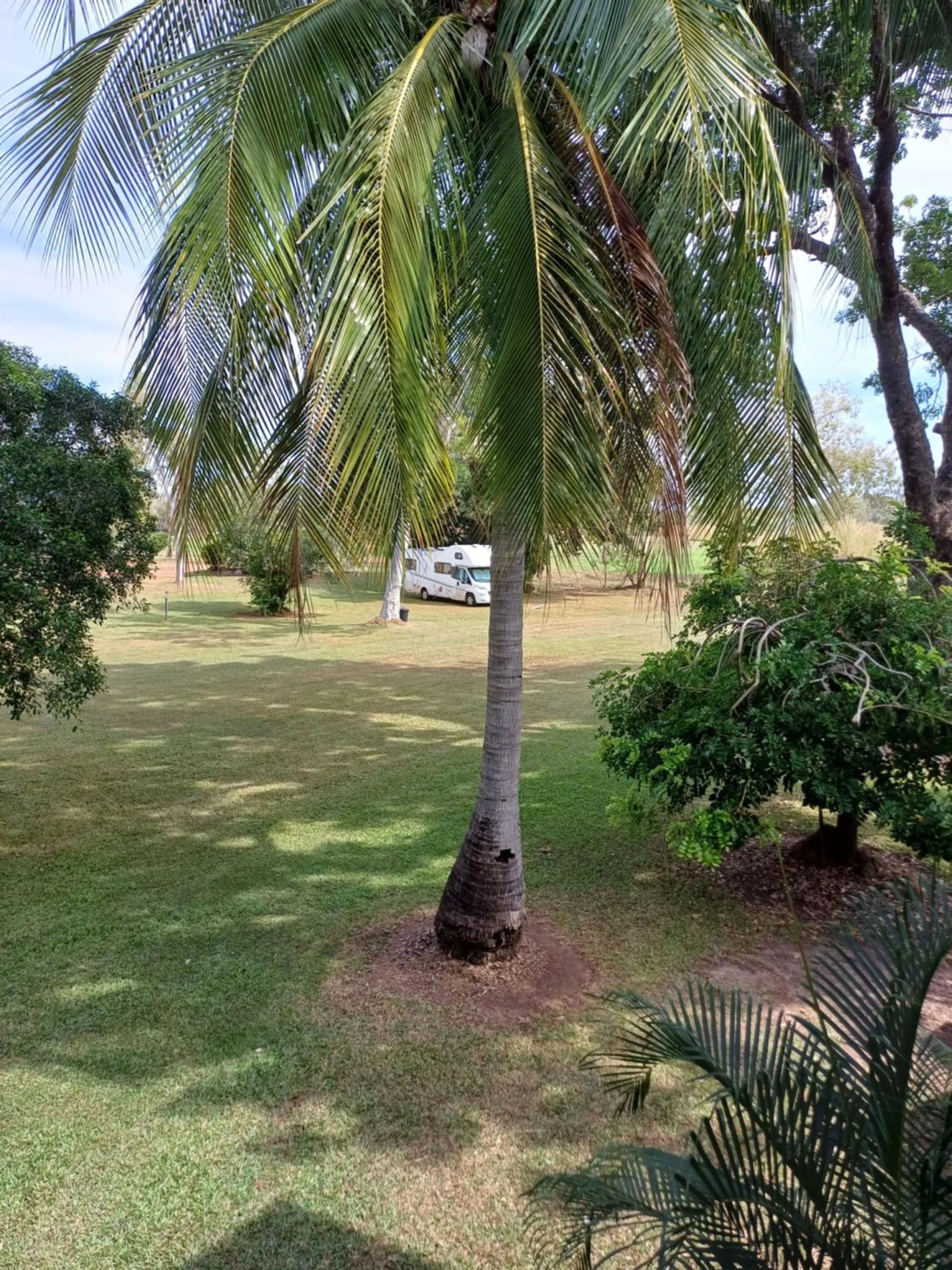 Garden in AAOK Lakes Resort and Caravan Park