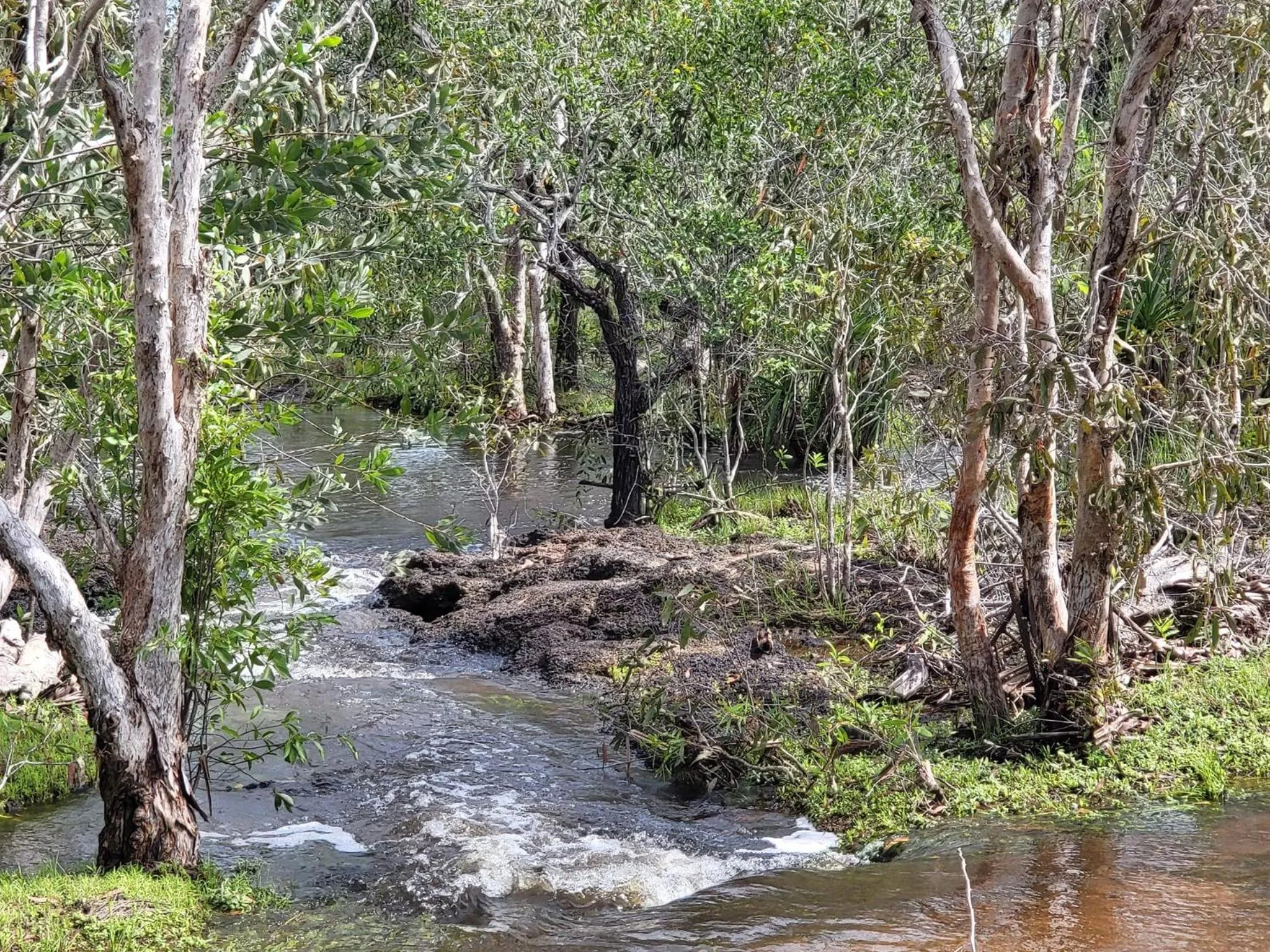 Natural landscape in AAOK Lakes Resort and Caravan Park