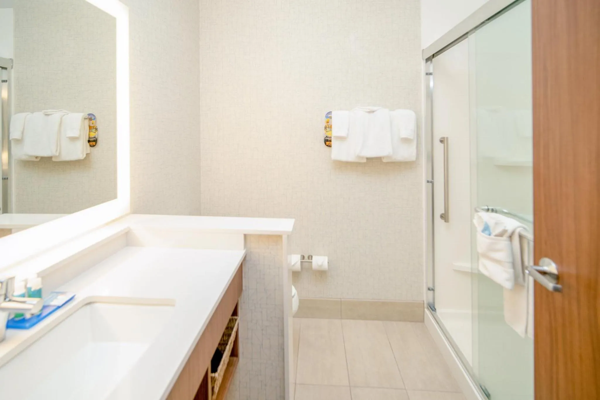 Bathroom in Holiday Inn Express Houghton-Keweenaw by IHG