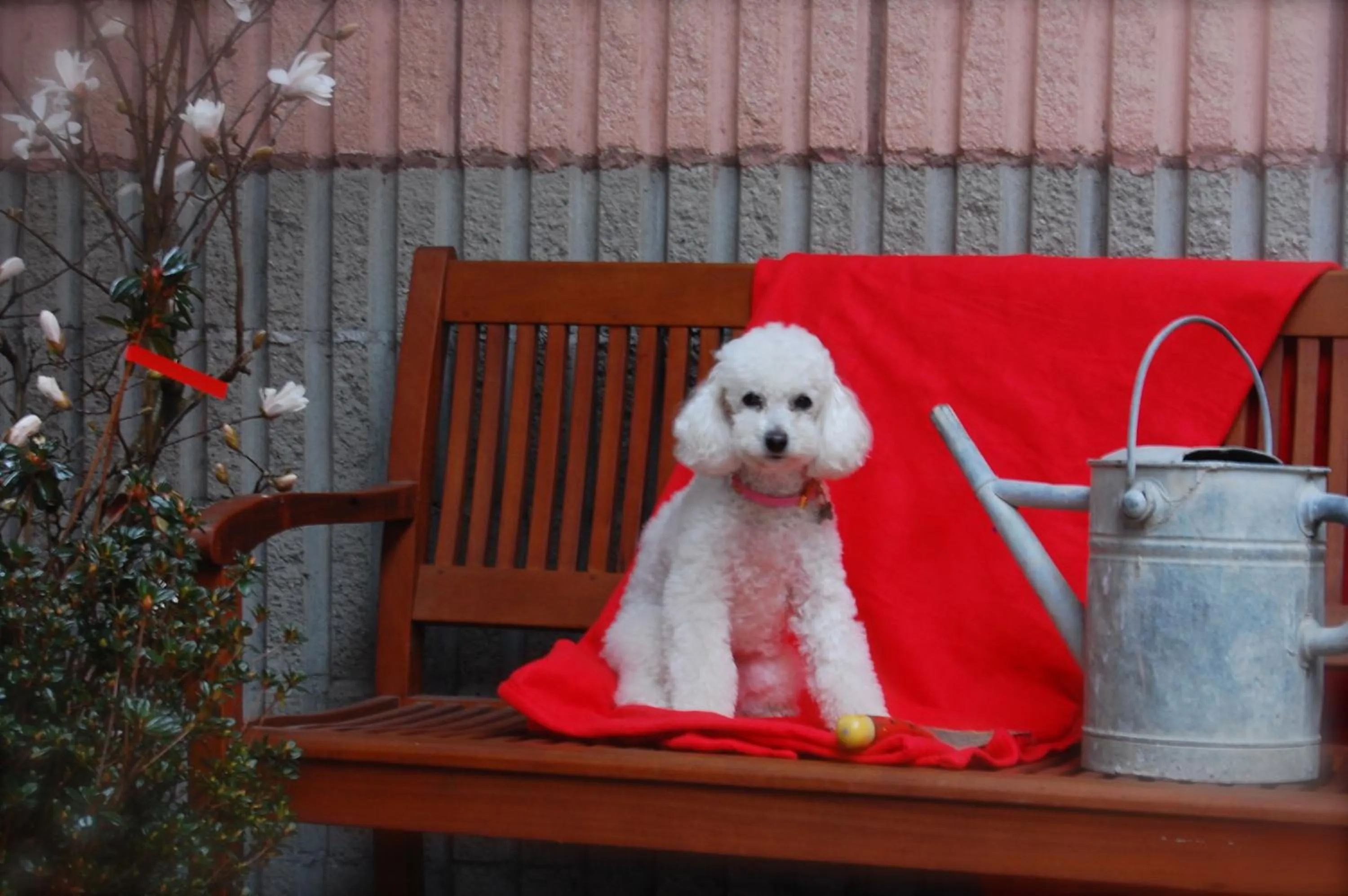 Other in Albergo Visconti