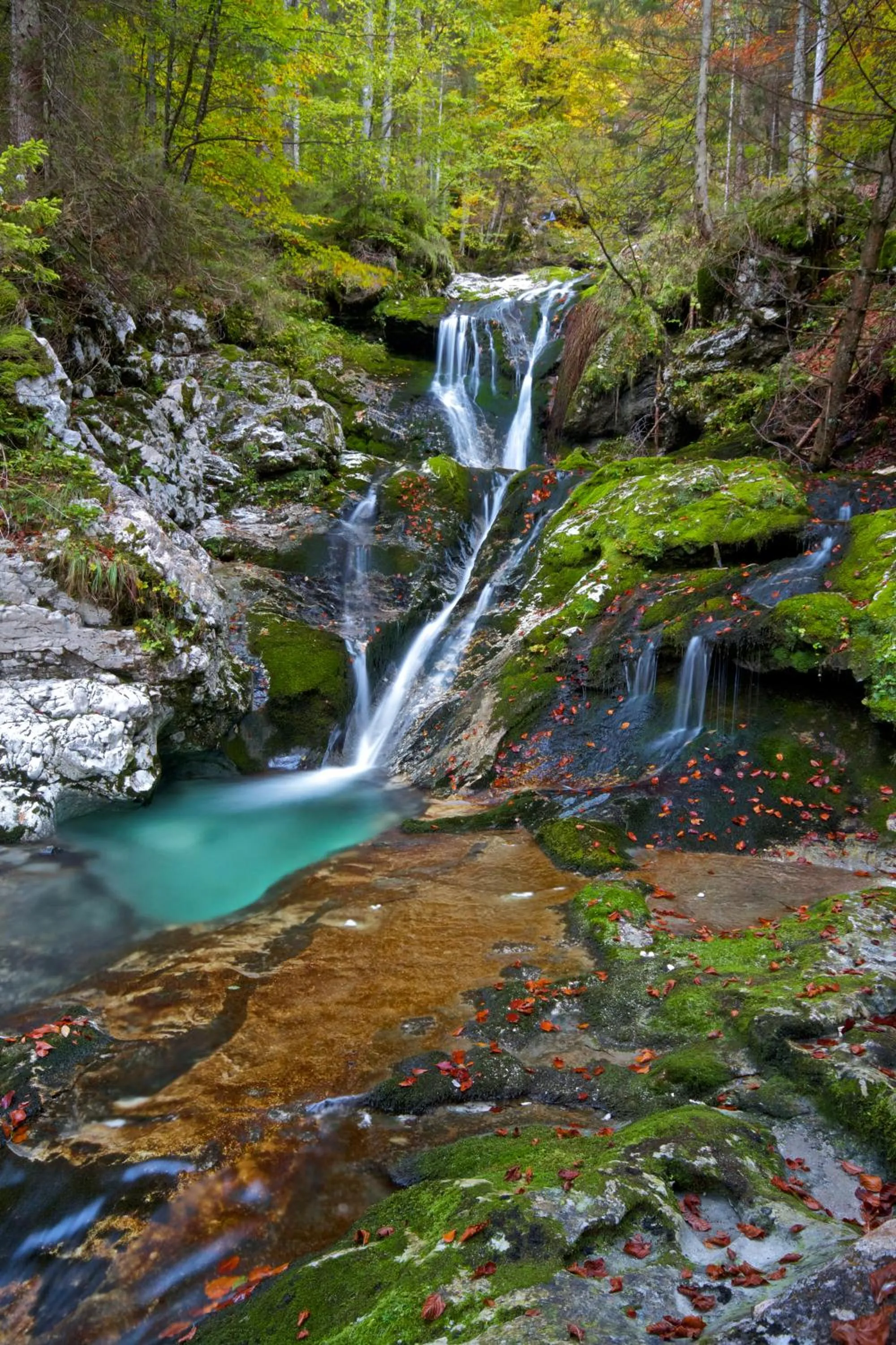 Spring in Hotel Mangart