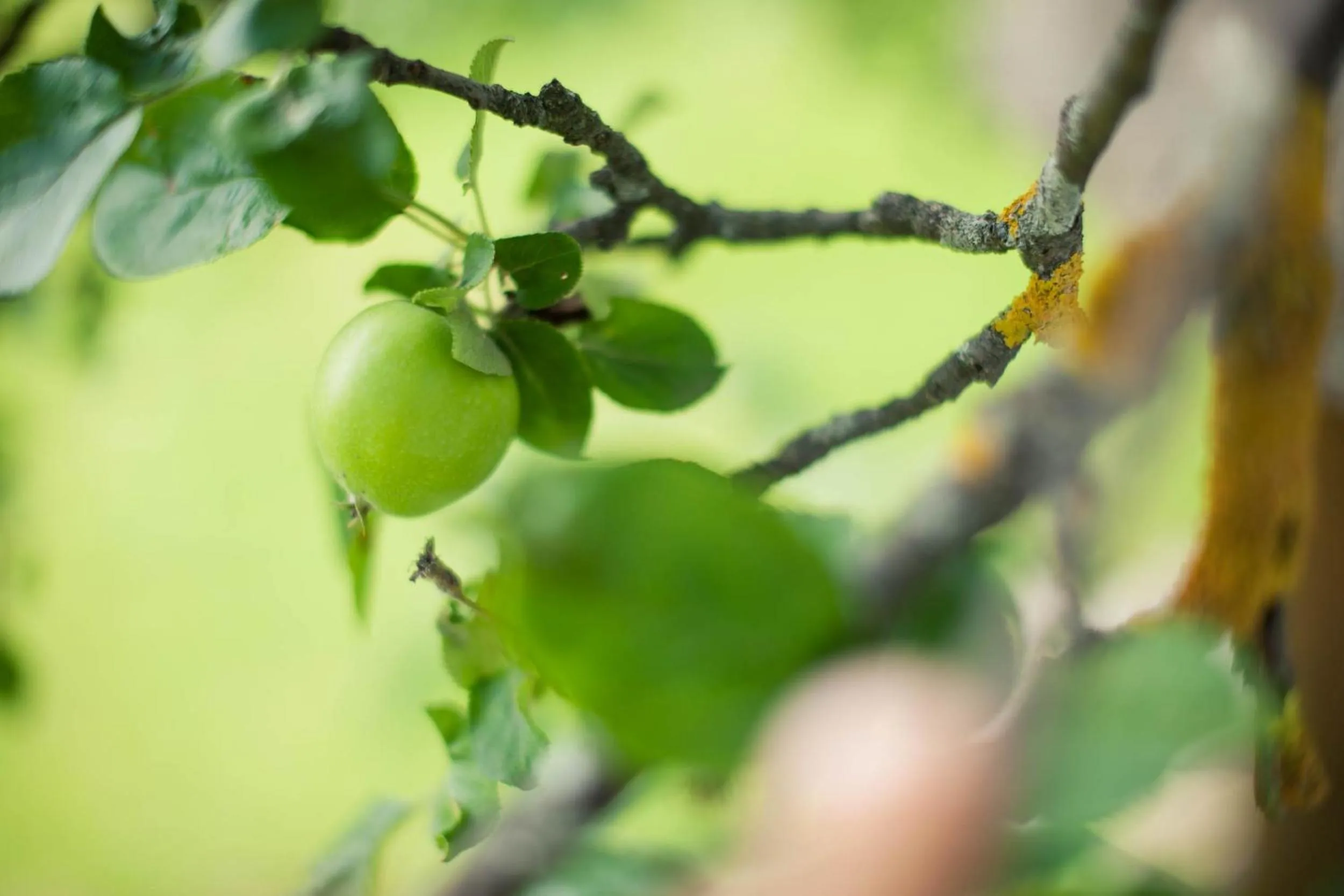 Other in Hotel Steuxner