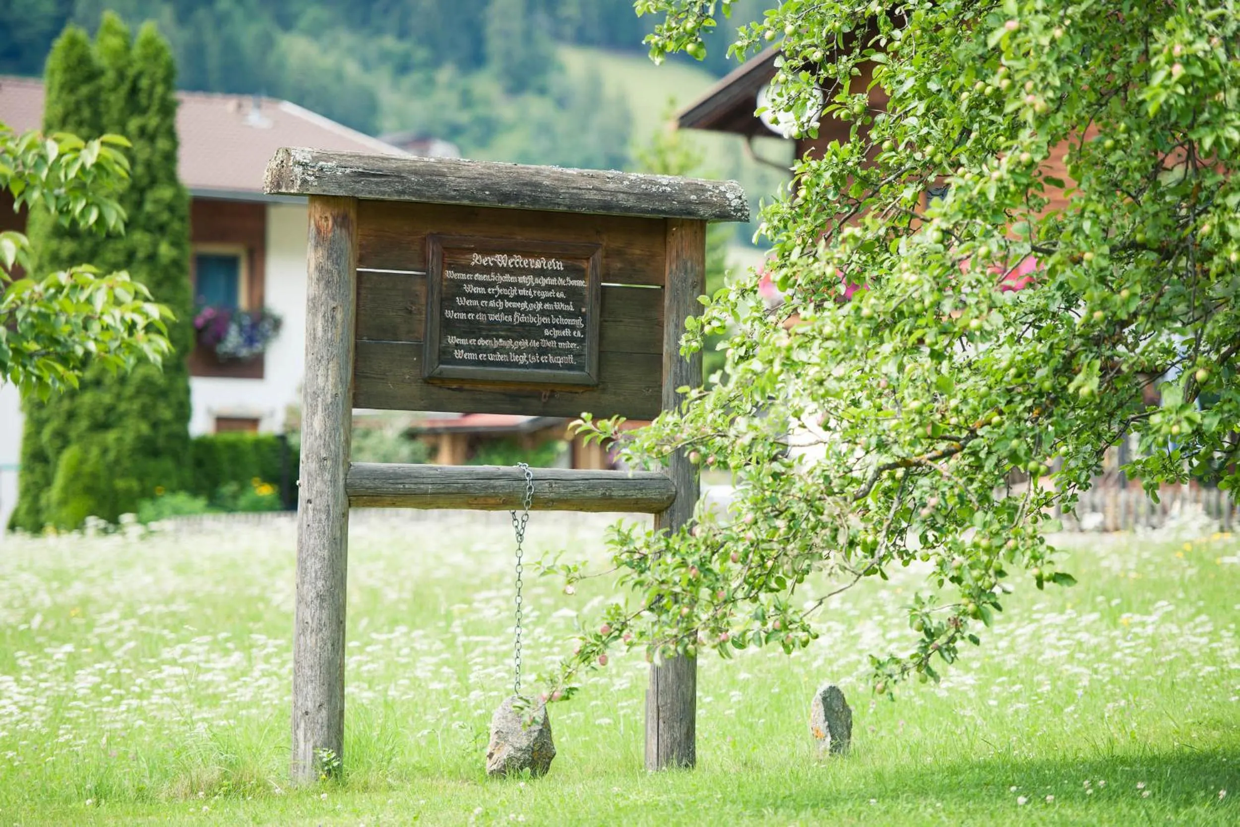 Garden in Hotel Steuxner