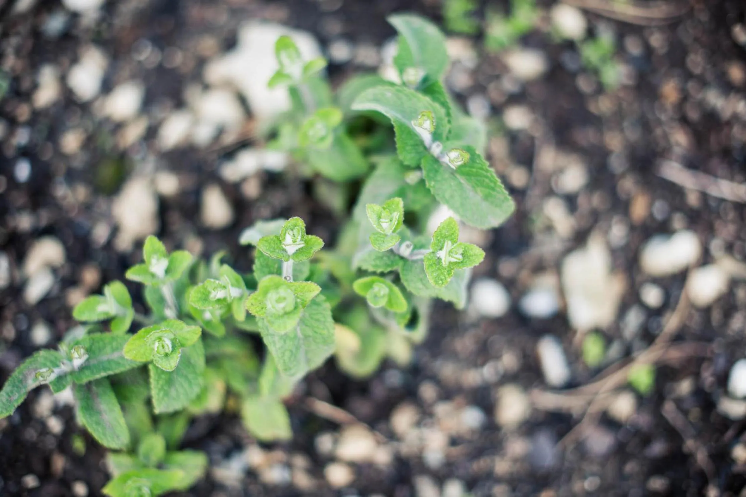 Other in Hotel Steuxner