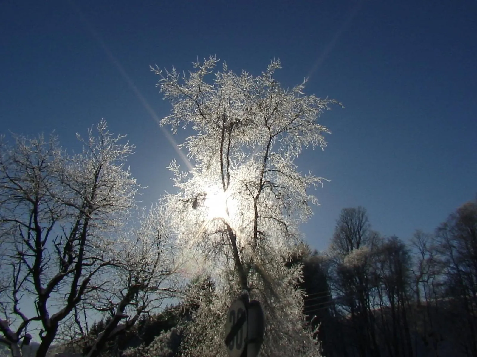 Natural landscape in Landhotel Lacknerhof