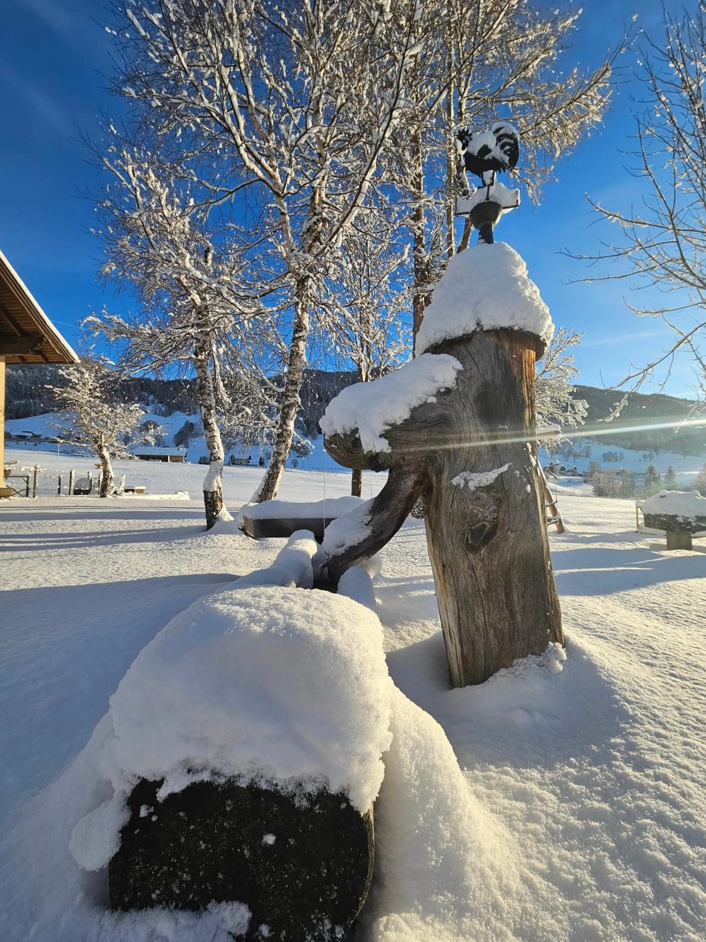 Garden in Landhotel Lacknerhof