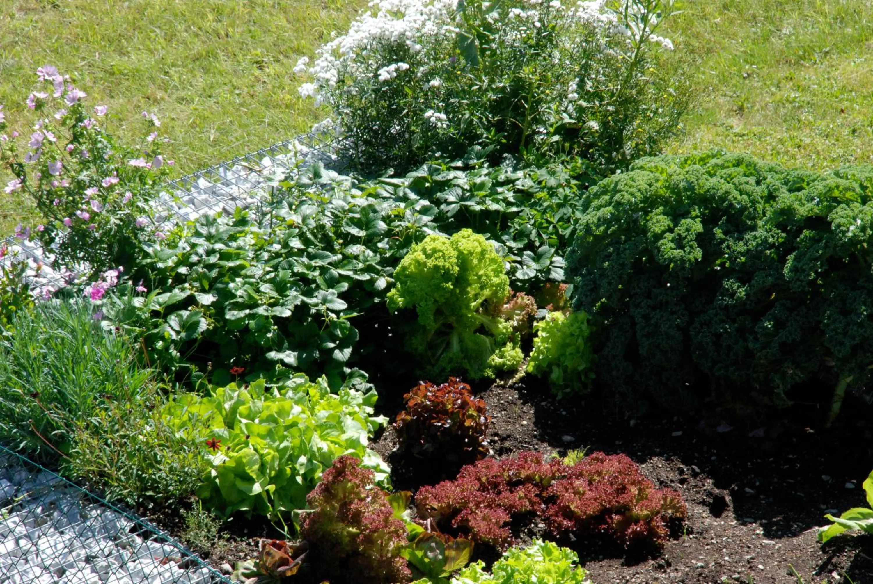 Garden in Landhotel Lacknerhof