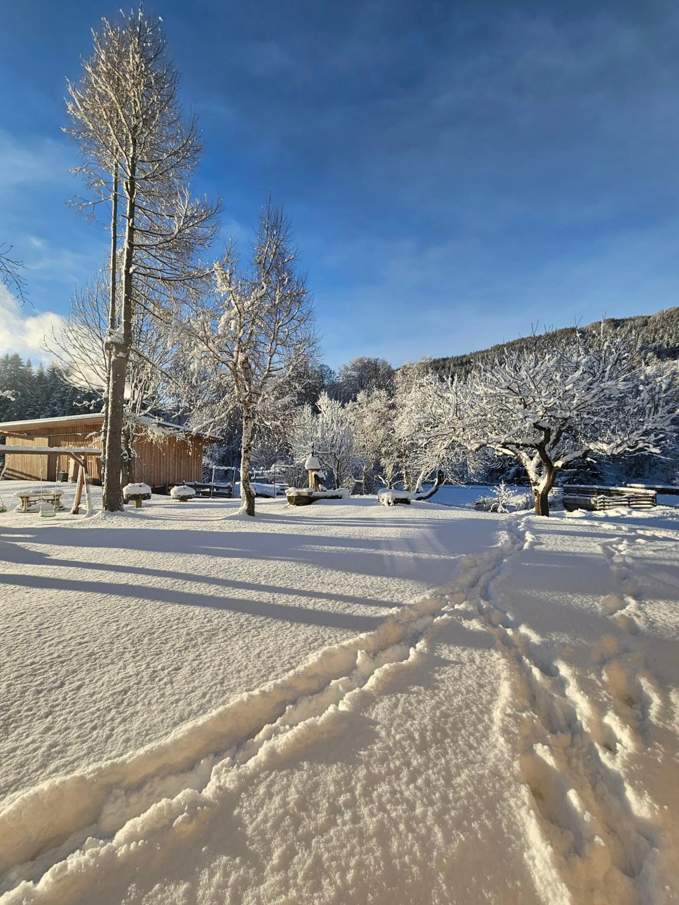 Garden in Landhotel Lacknerhof