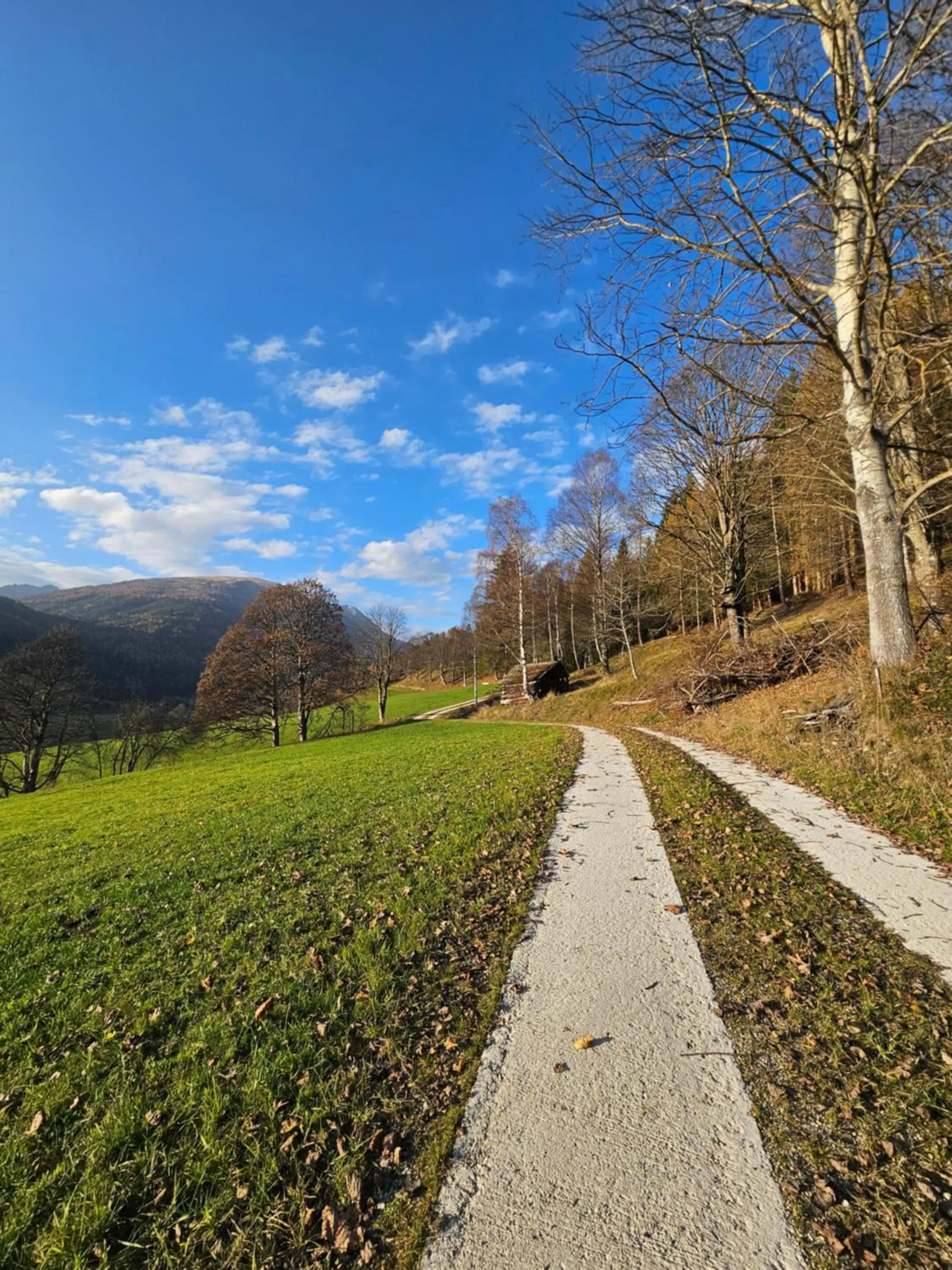 Natural landscape in Landhotel Lacknerhof