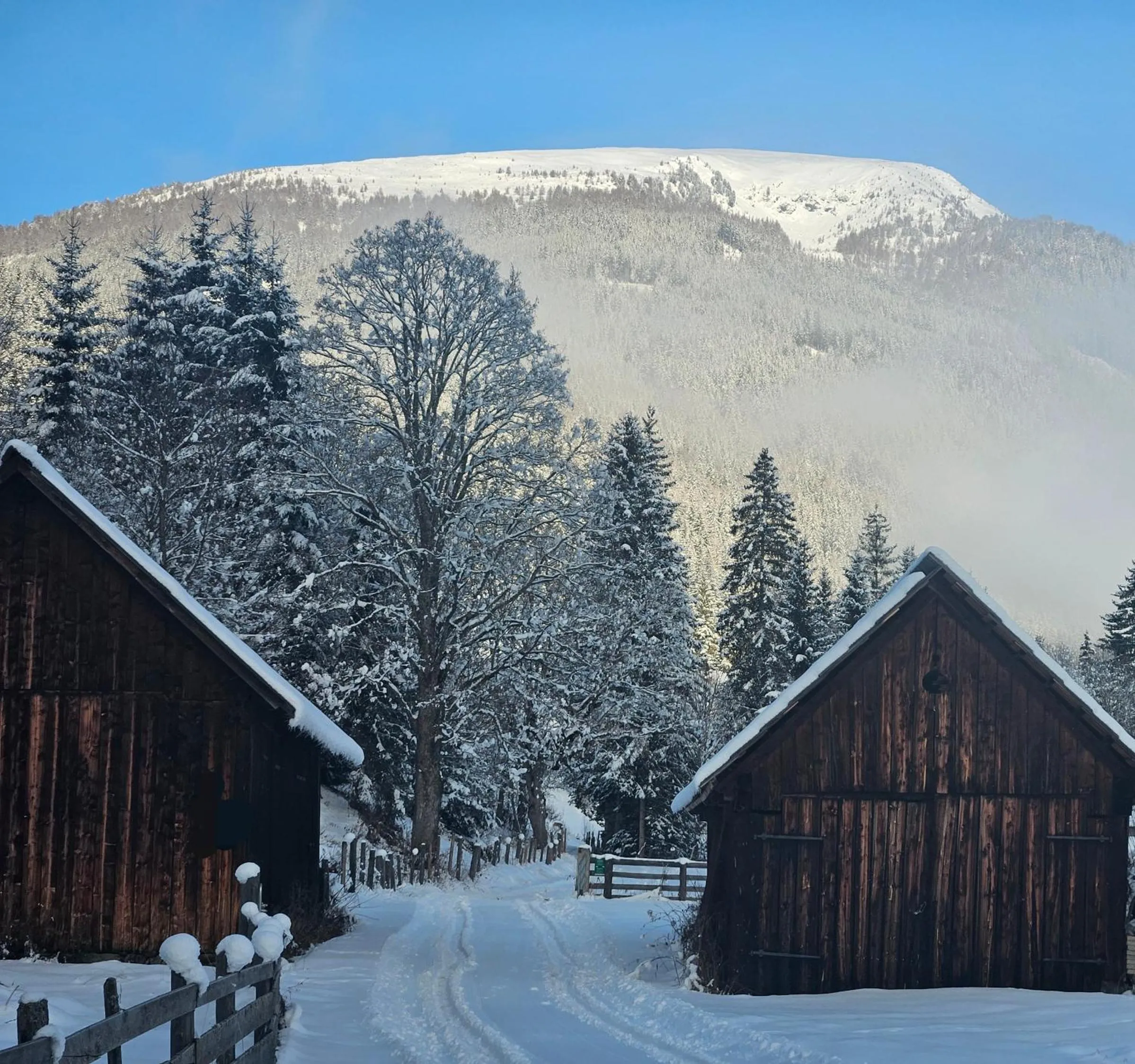 Natural landscape in Landhotel Lacknerhof