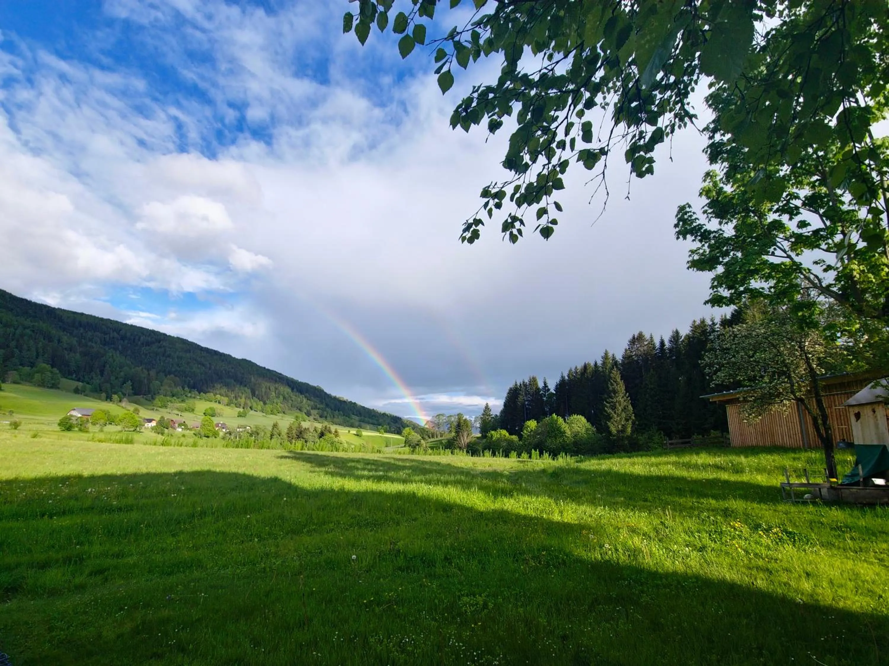 Natural landscape in Landhotel Lacknerhof