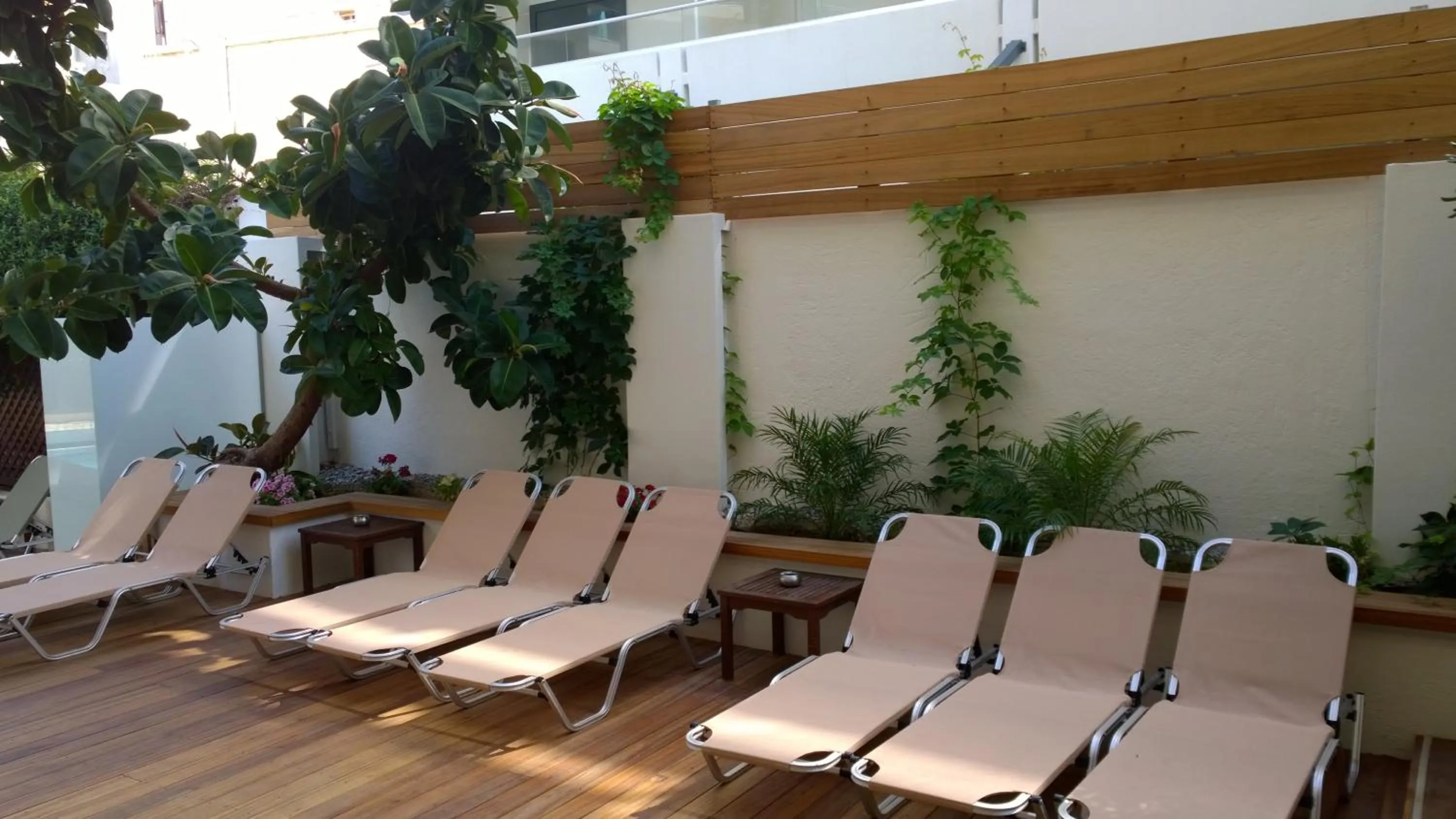 Garden in Athena Hotel