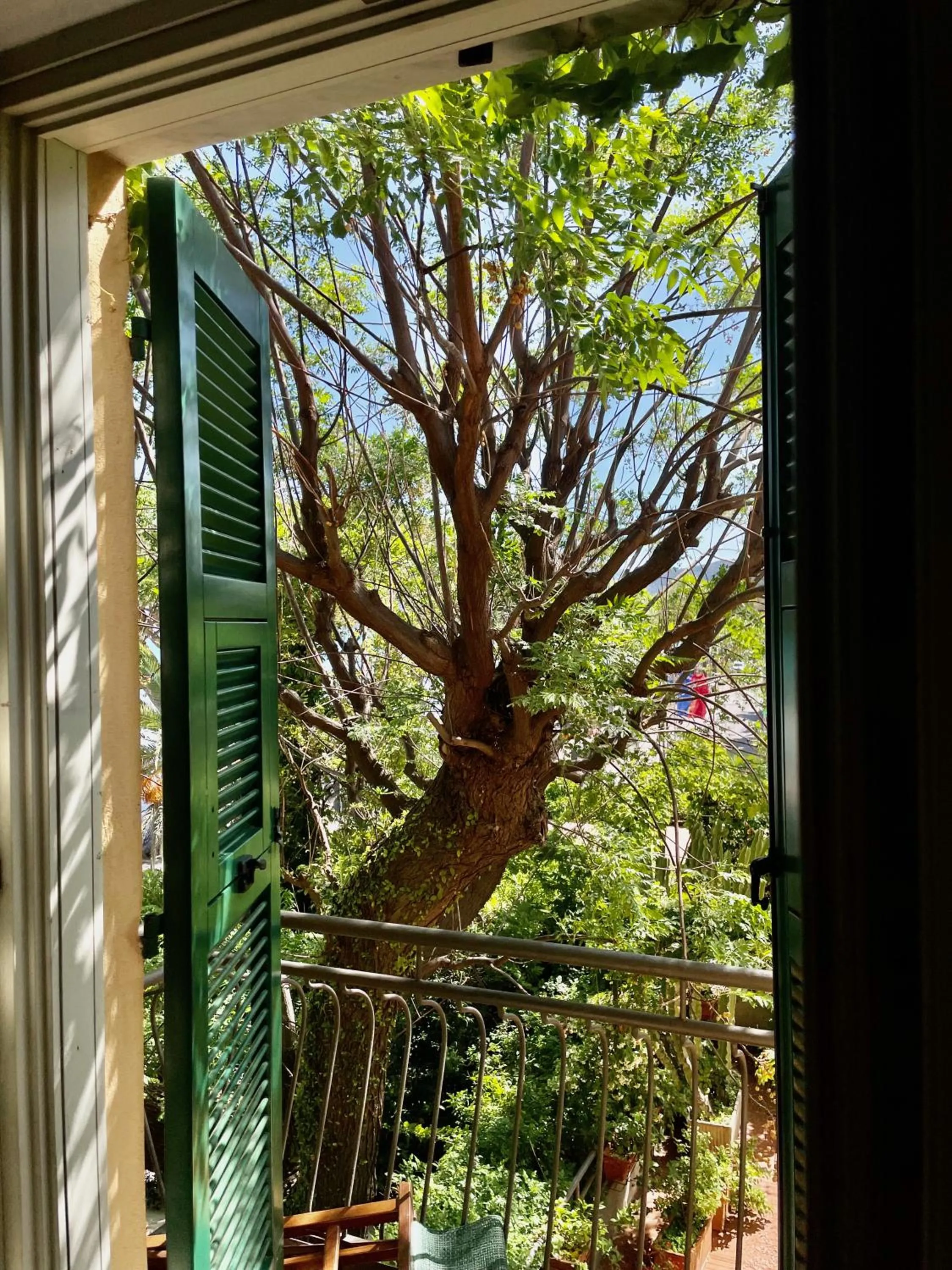 Garden in Hotel Beau Rivage