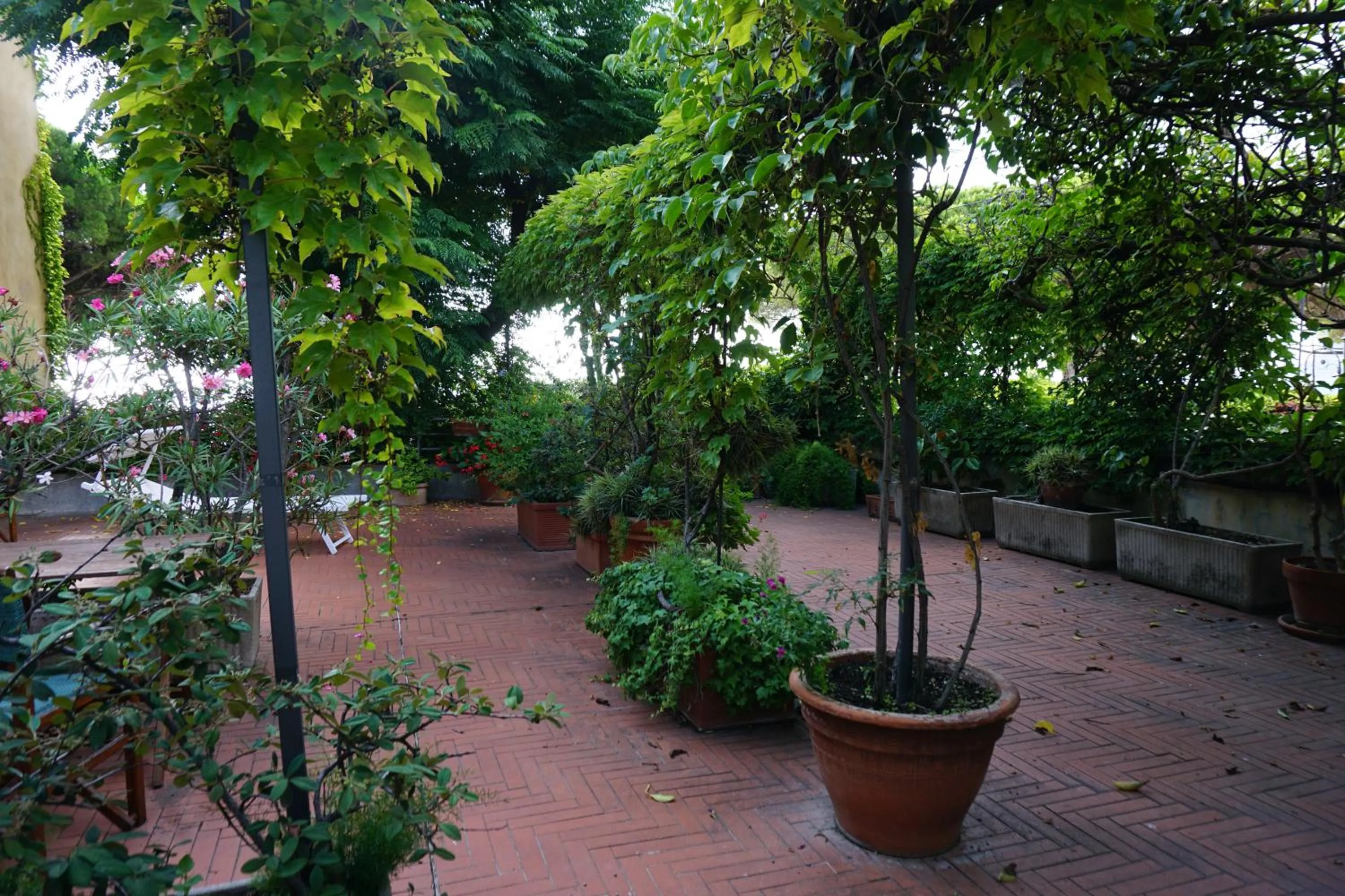 Patio in Hotel Beau Rivage