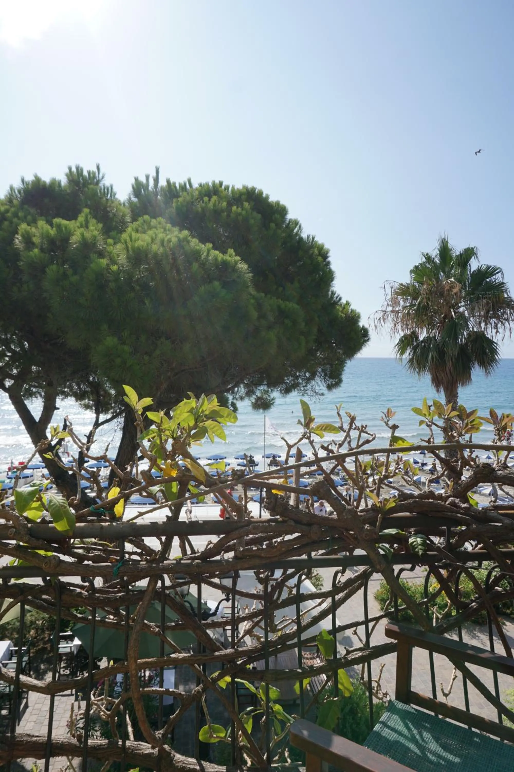 Sea view in Hotel Beau Rivage