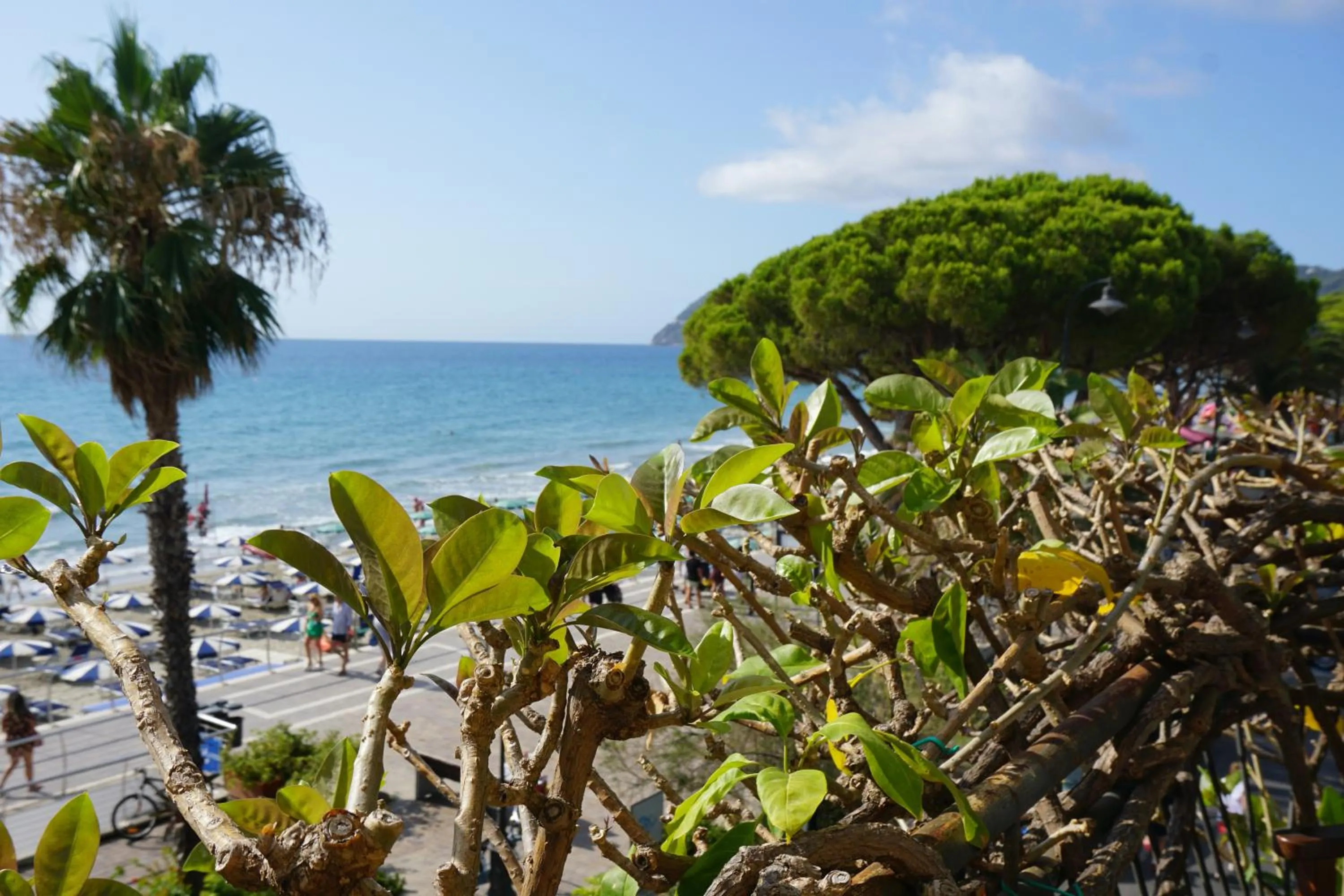 Sea view in Hotel Beau Rivage