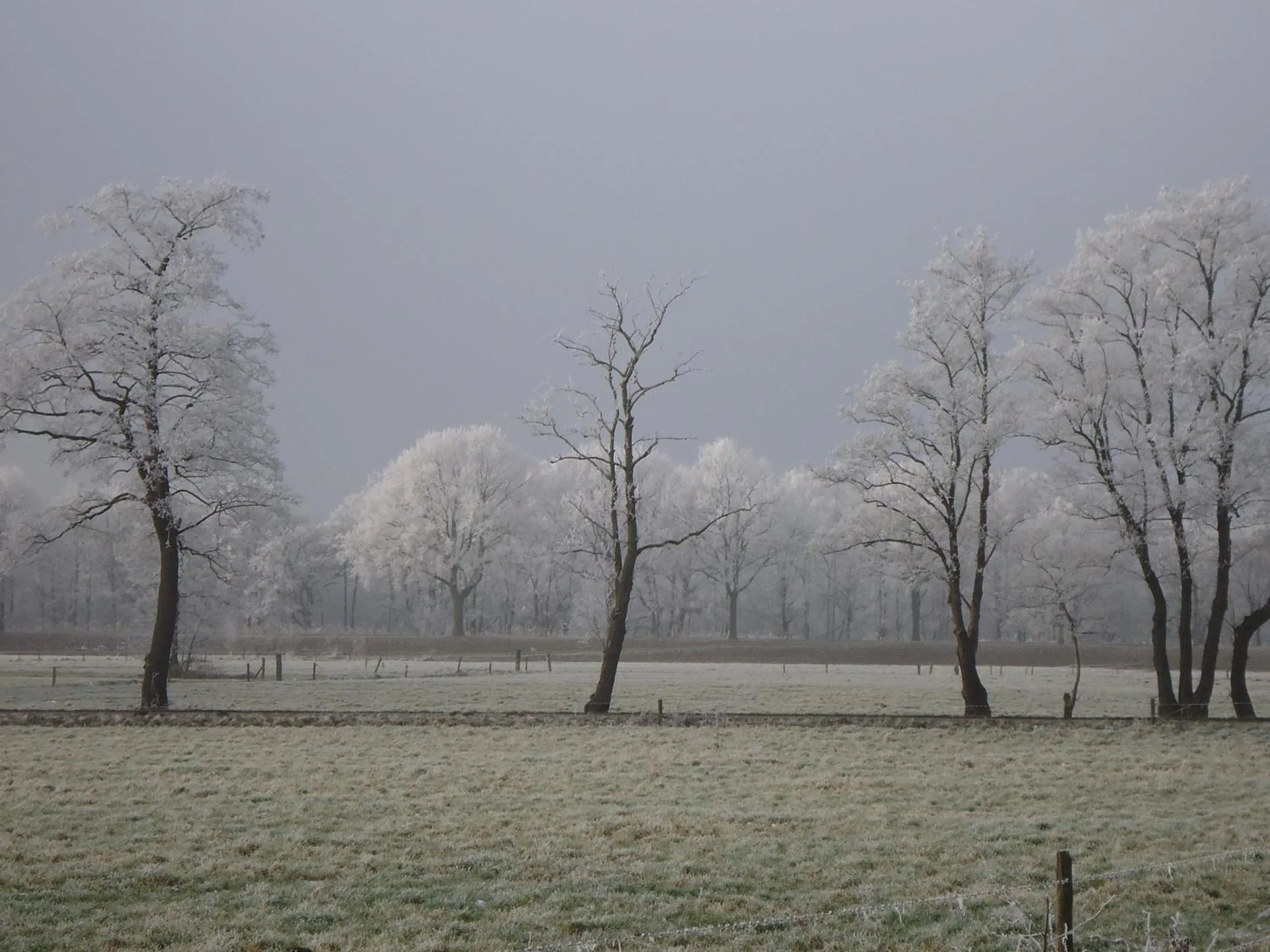 Natural landscape in Bed & Breakfast El Manso