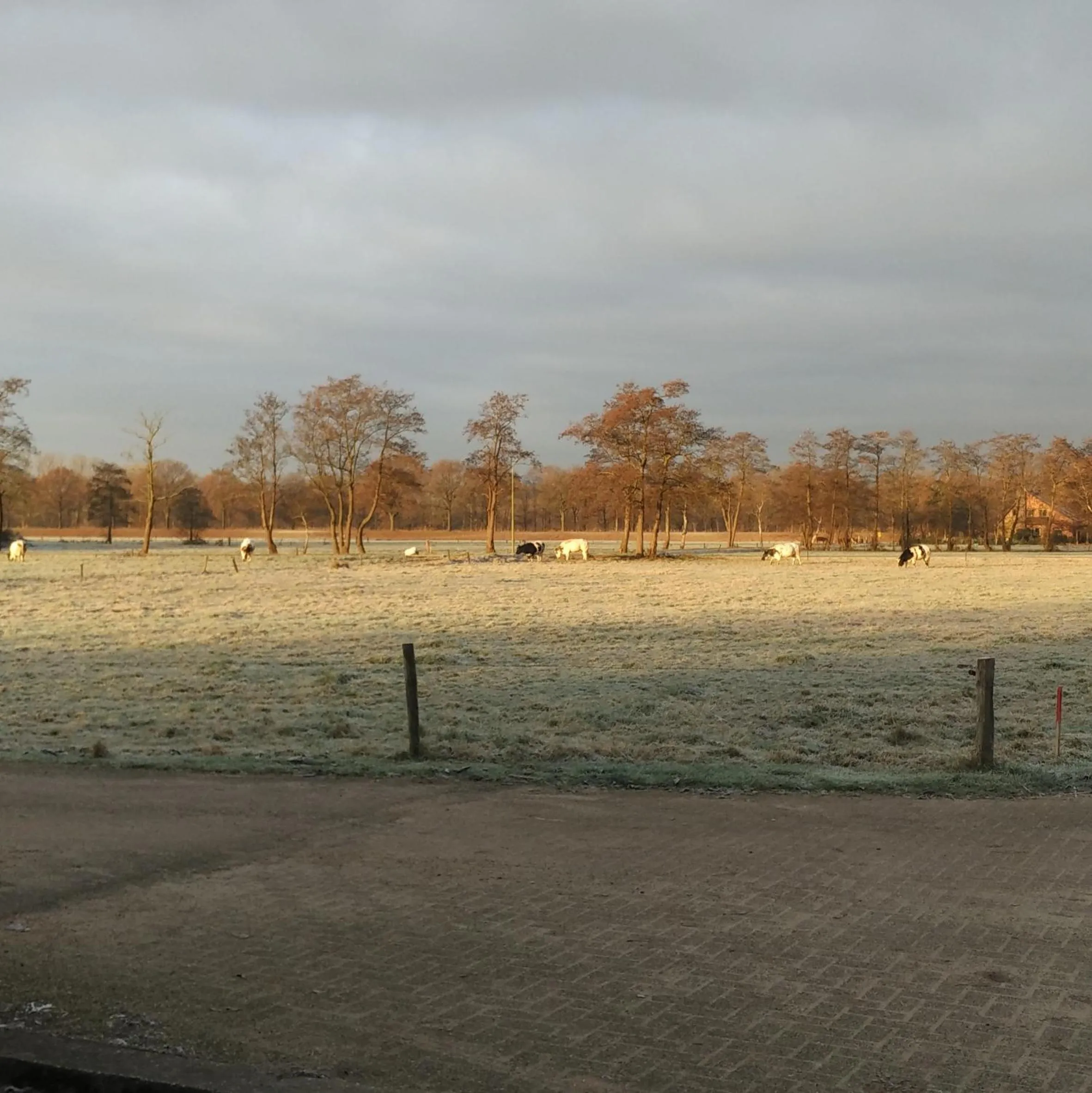 Natural landscape in Bed & Breakfast El Manso