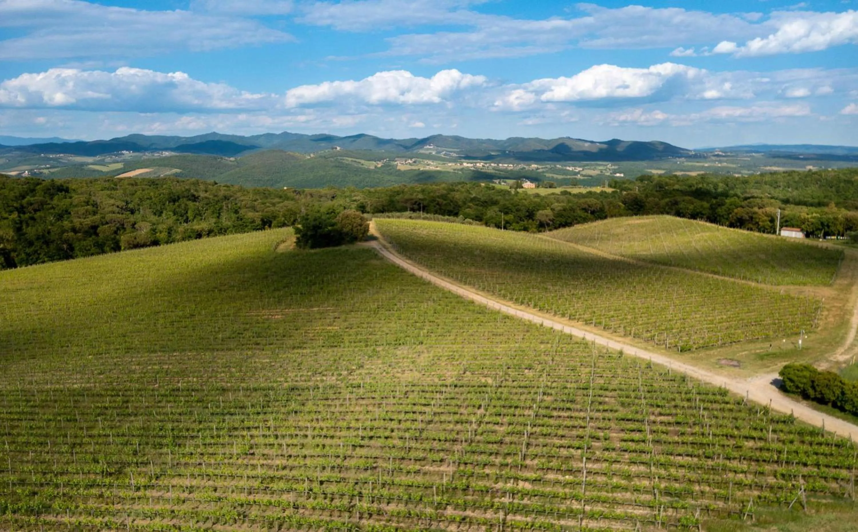 Bird's eye view in Borgo Scopeto Wine & Country Relais