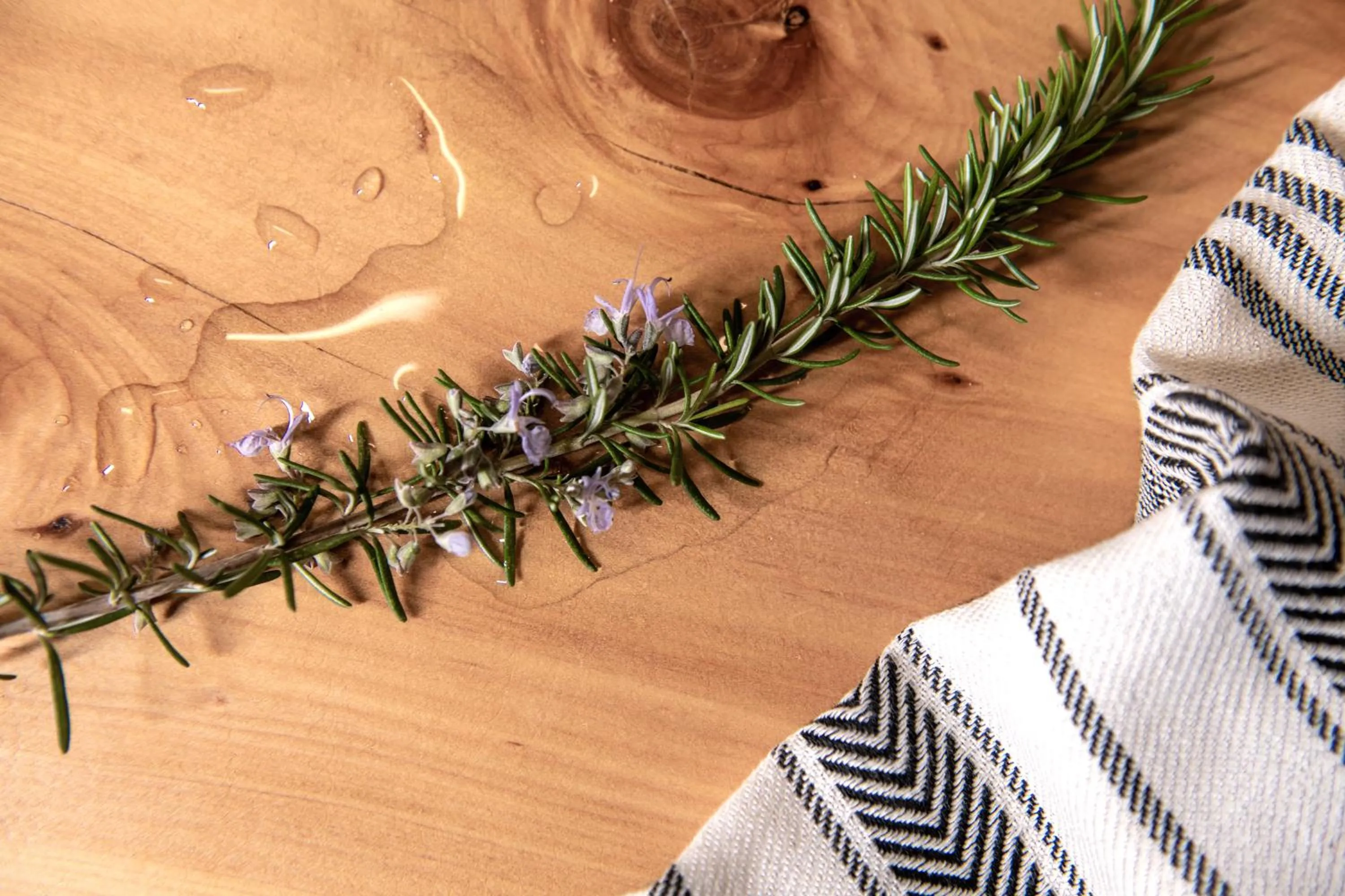 Property building in The Olive Yard