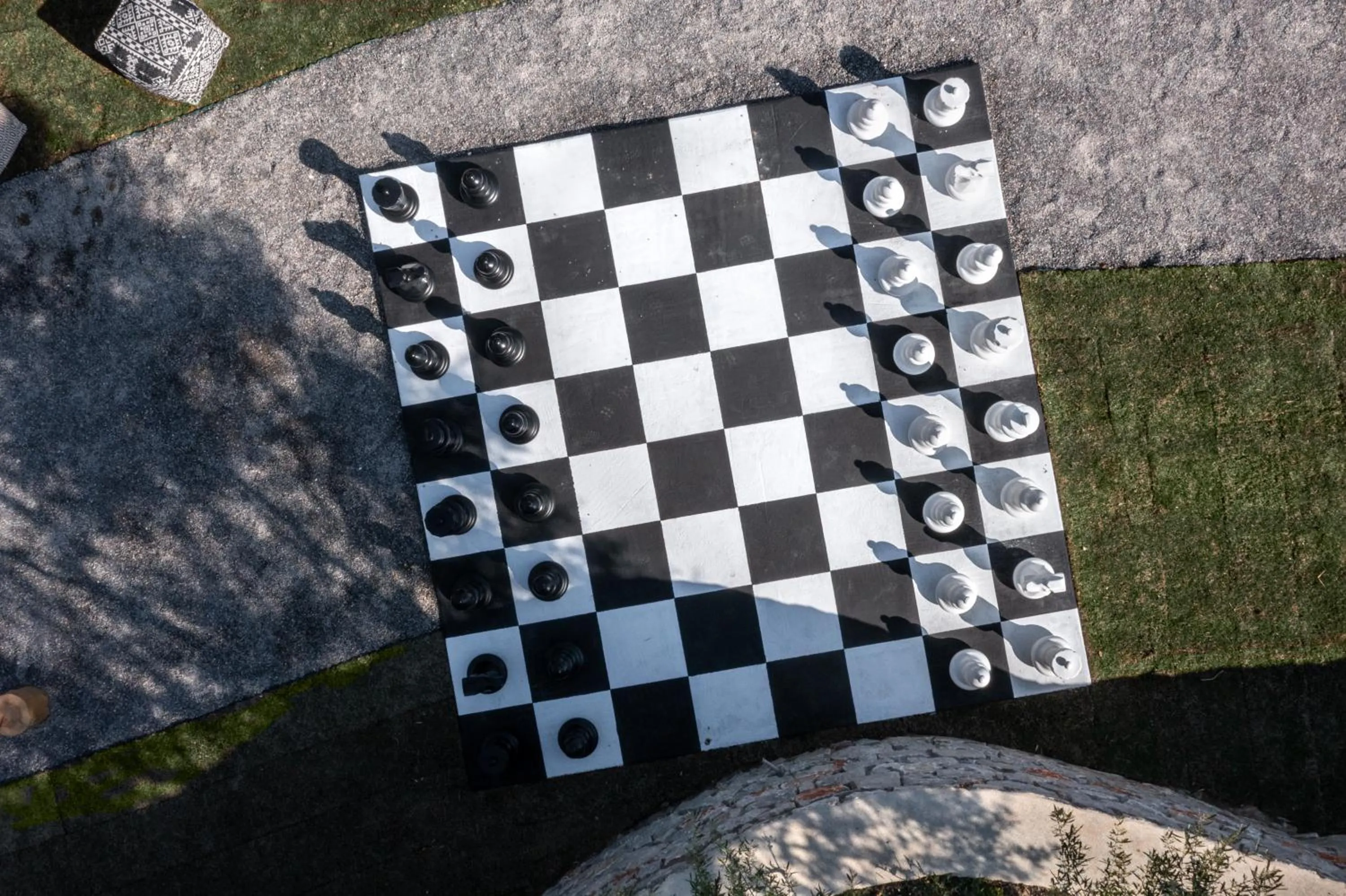 Activities in The Olive Yard