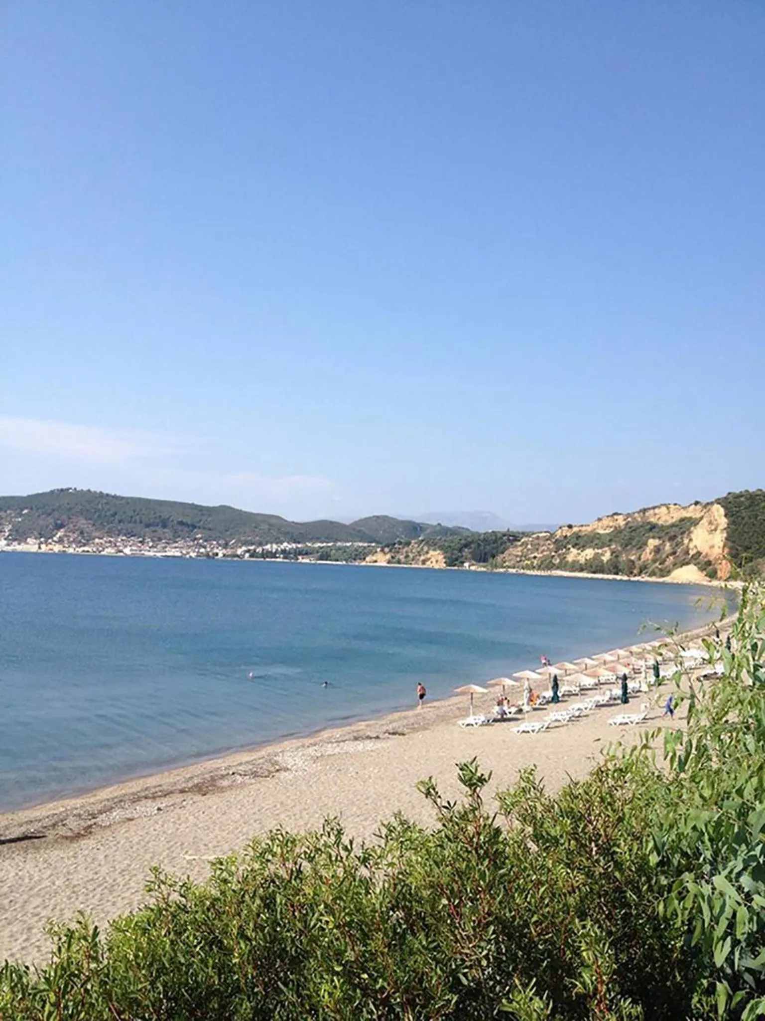 Beach in The Olive Yard