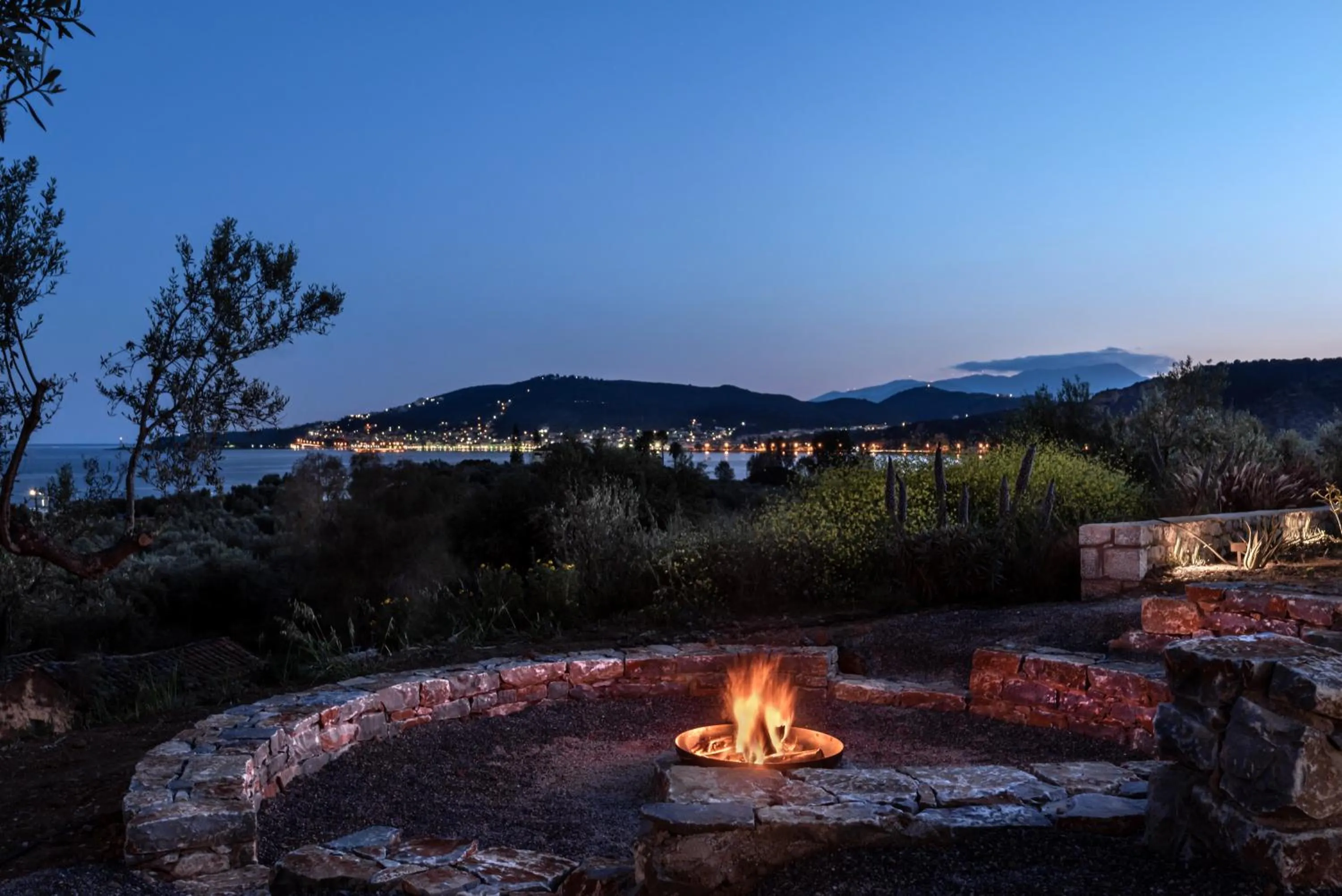 Garden in The Olive Yard