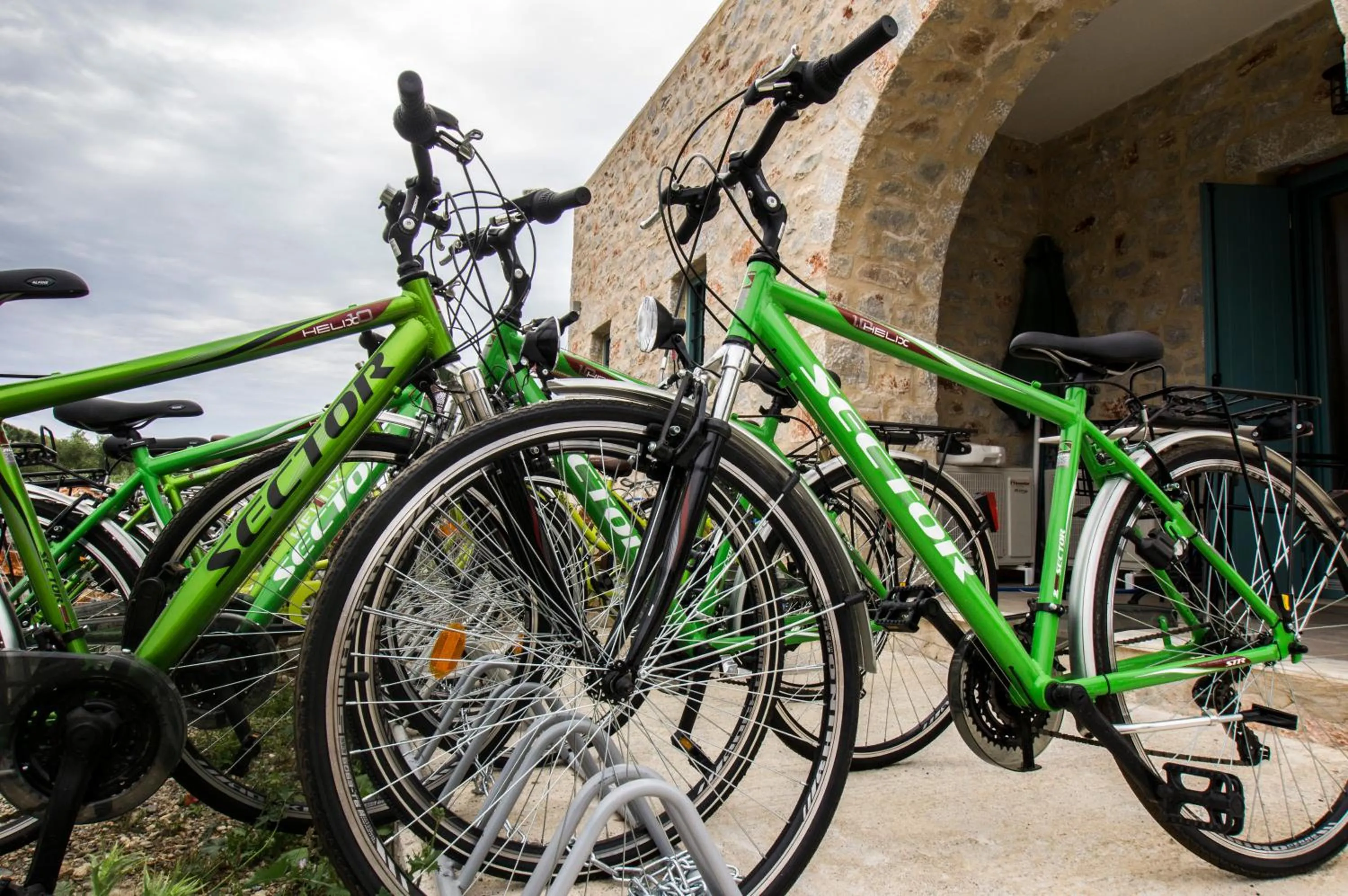 Activities in The Olive Yard