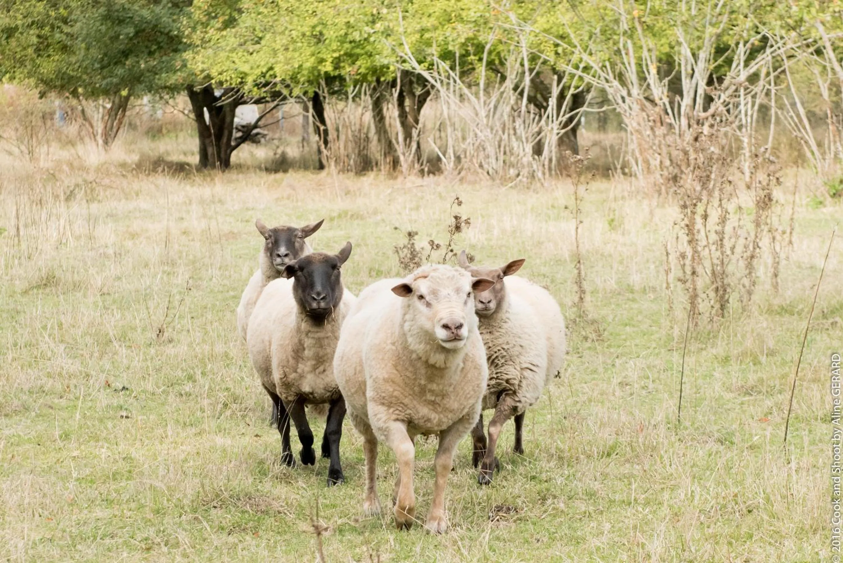 Staff in Château De Noirieux