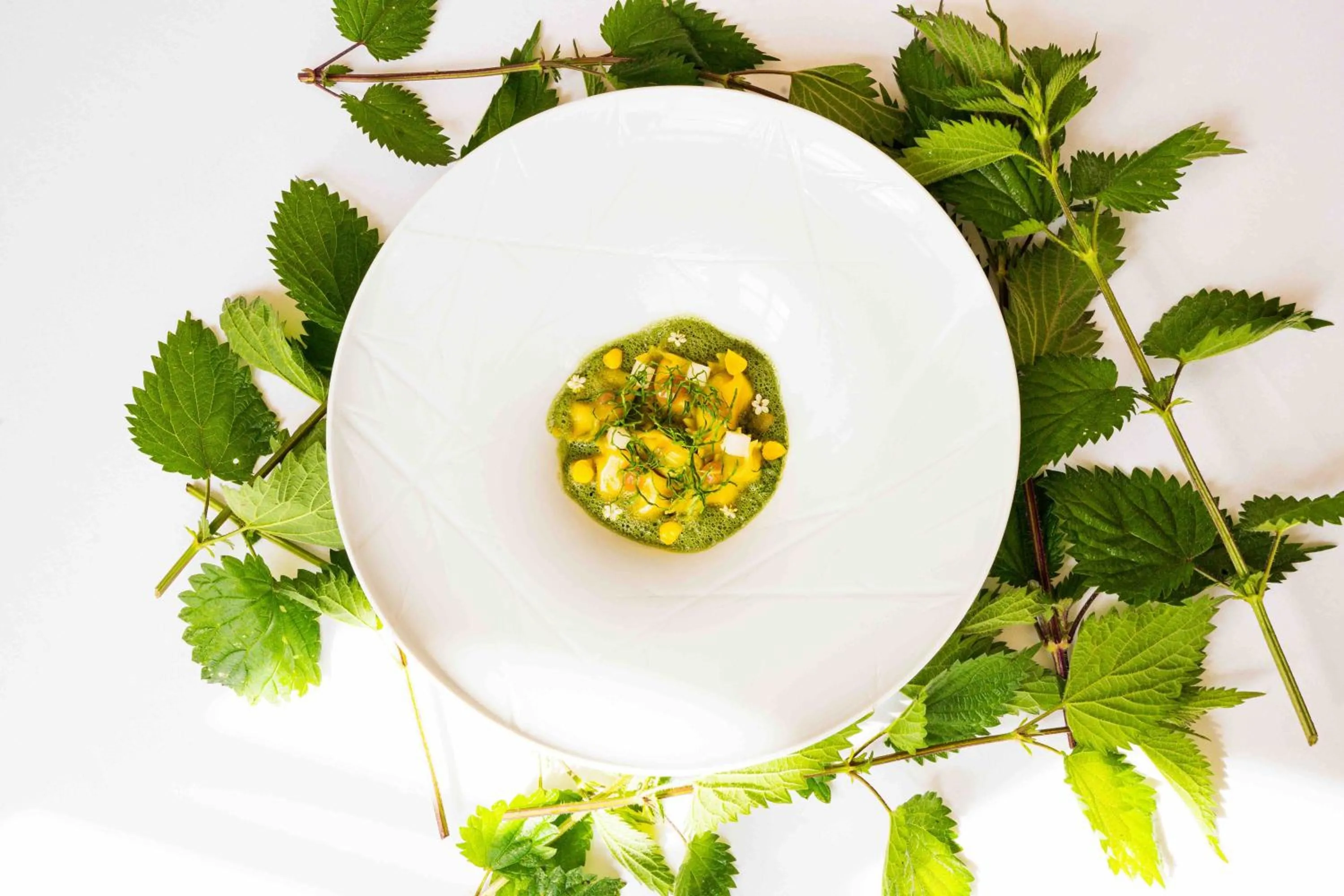 Restaurant/places to eat in Château De Noirieux