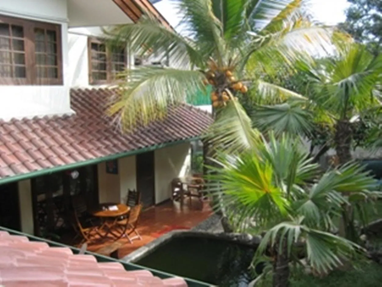 Garden in Peye Guesthouse