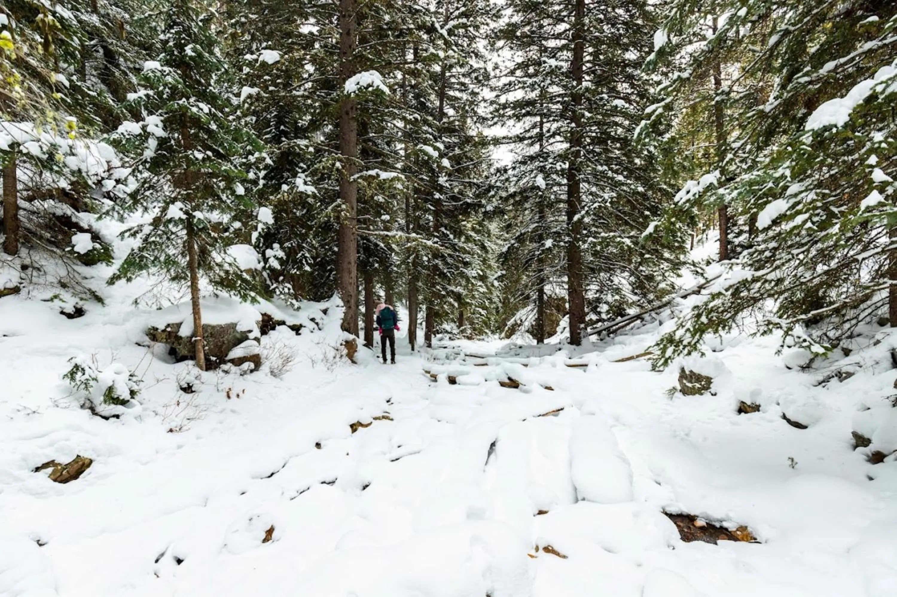 Nearby landmark in Staybridge Suites Great Falls by IHG