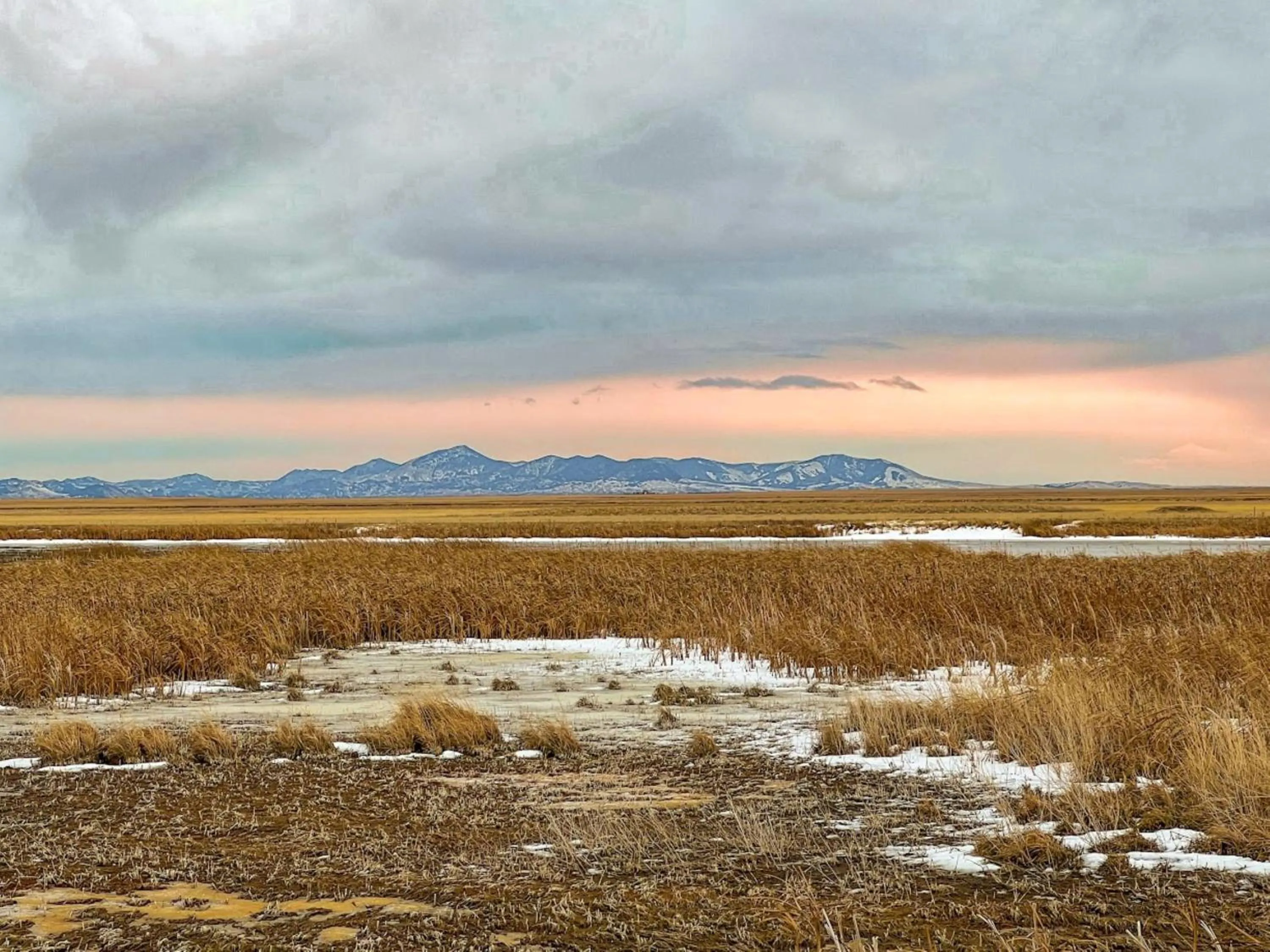 Nearby landmark in Staybridge Suites Great Falls by IHG