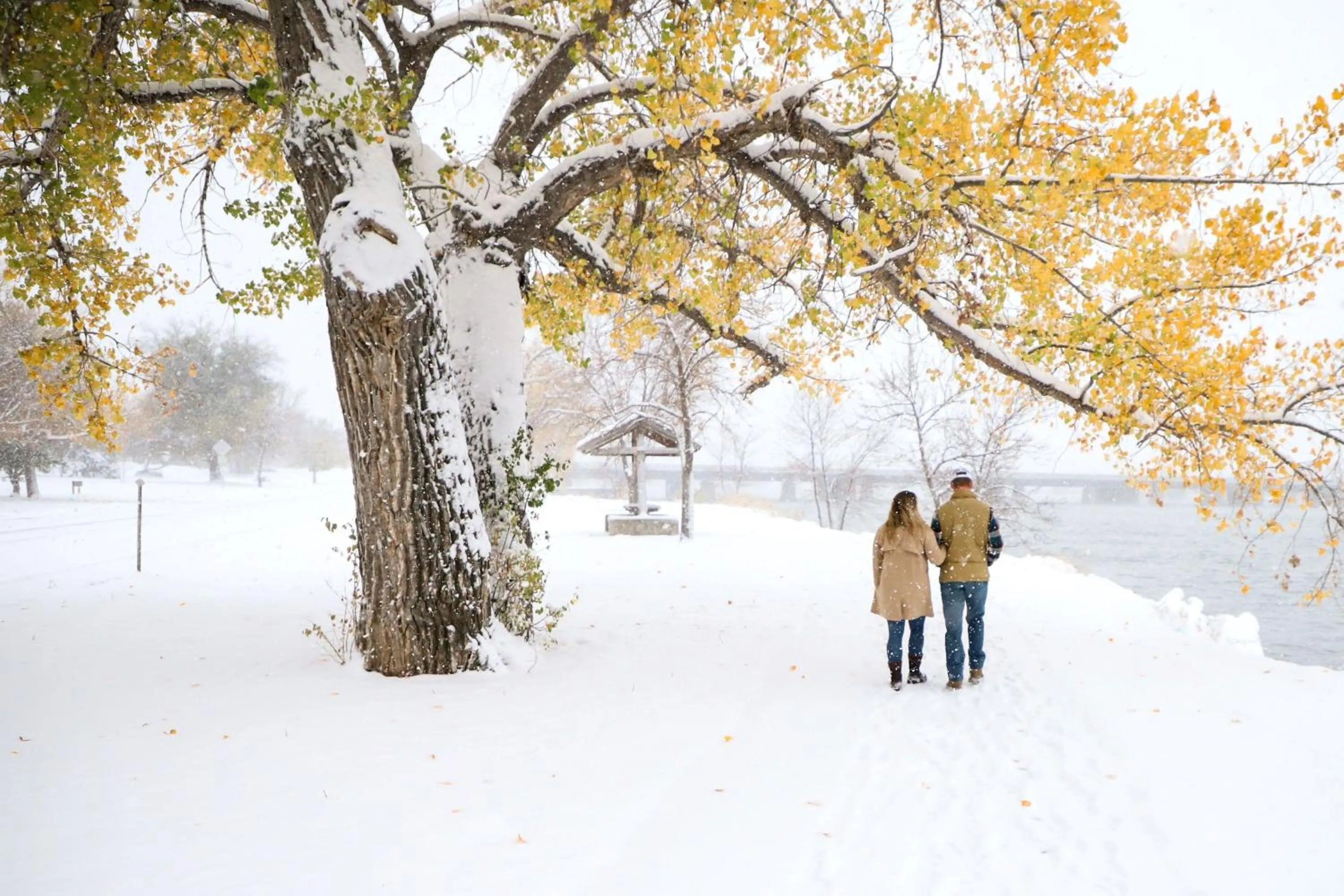 Nearby landmark in Staybridge Suites Great Falls by IHG
