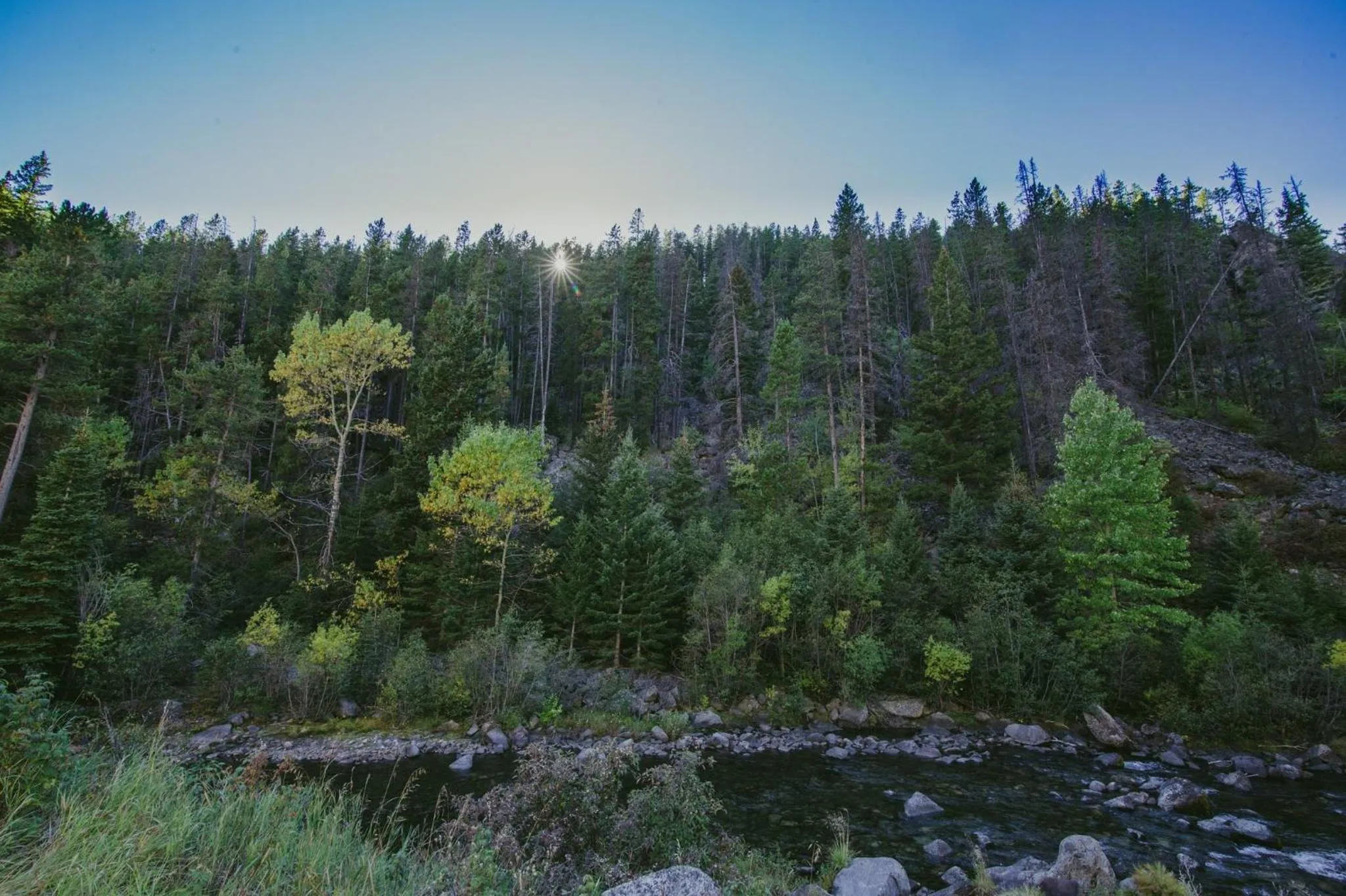 Nearby landmark in Staybridge Suites Great Falls by IHG