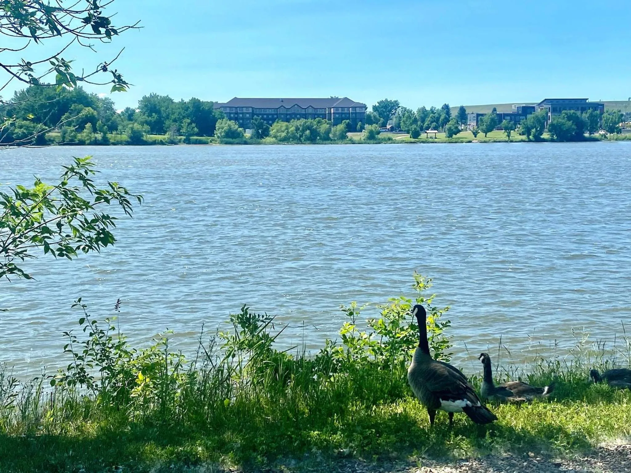 Nearby landmark in Staybridge Suites Great Falls by IHG