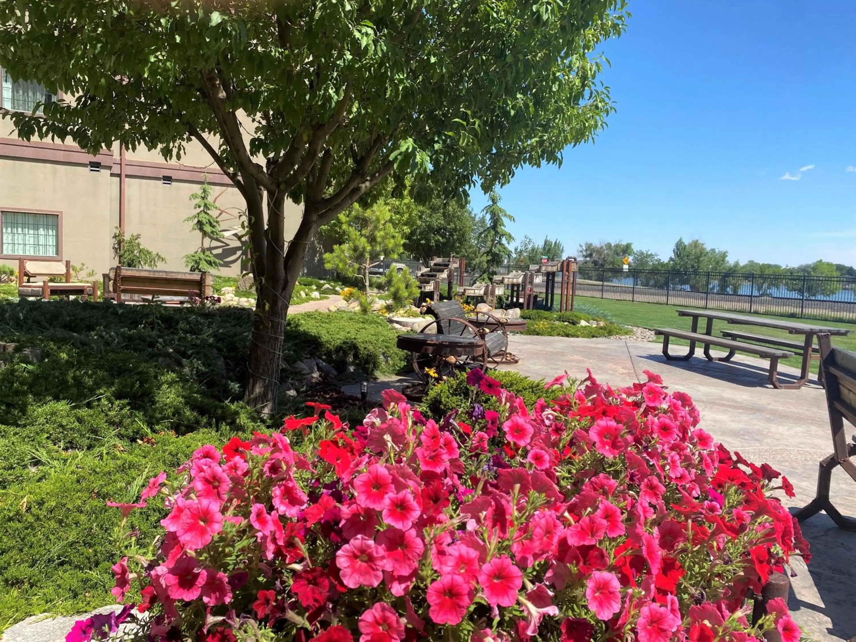 Other in Staybridge Suites Great Falls by IHG