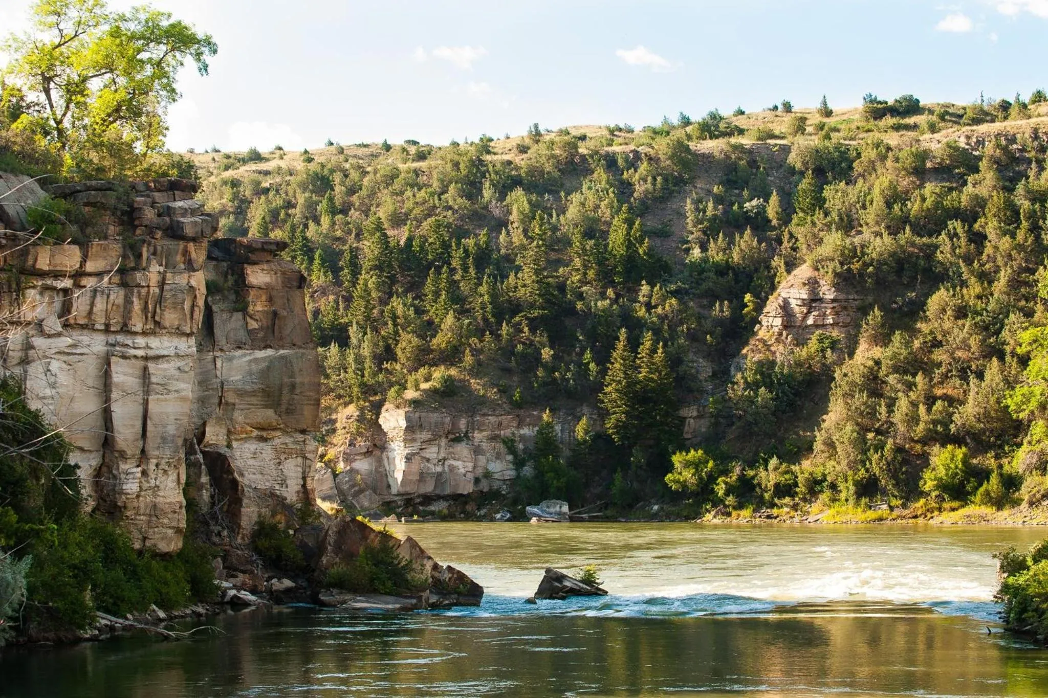 Nearby landmark in Staybridge Suites Great Falls by IHG