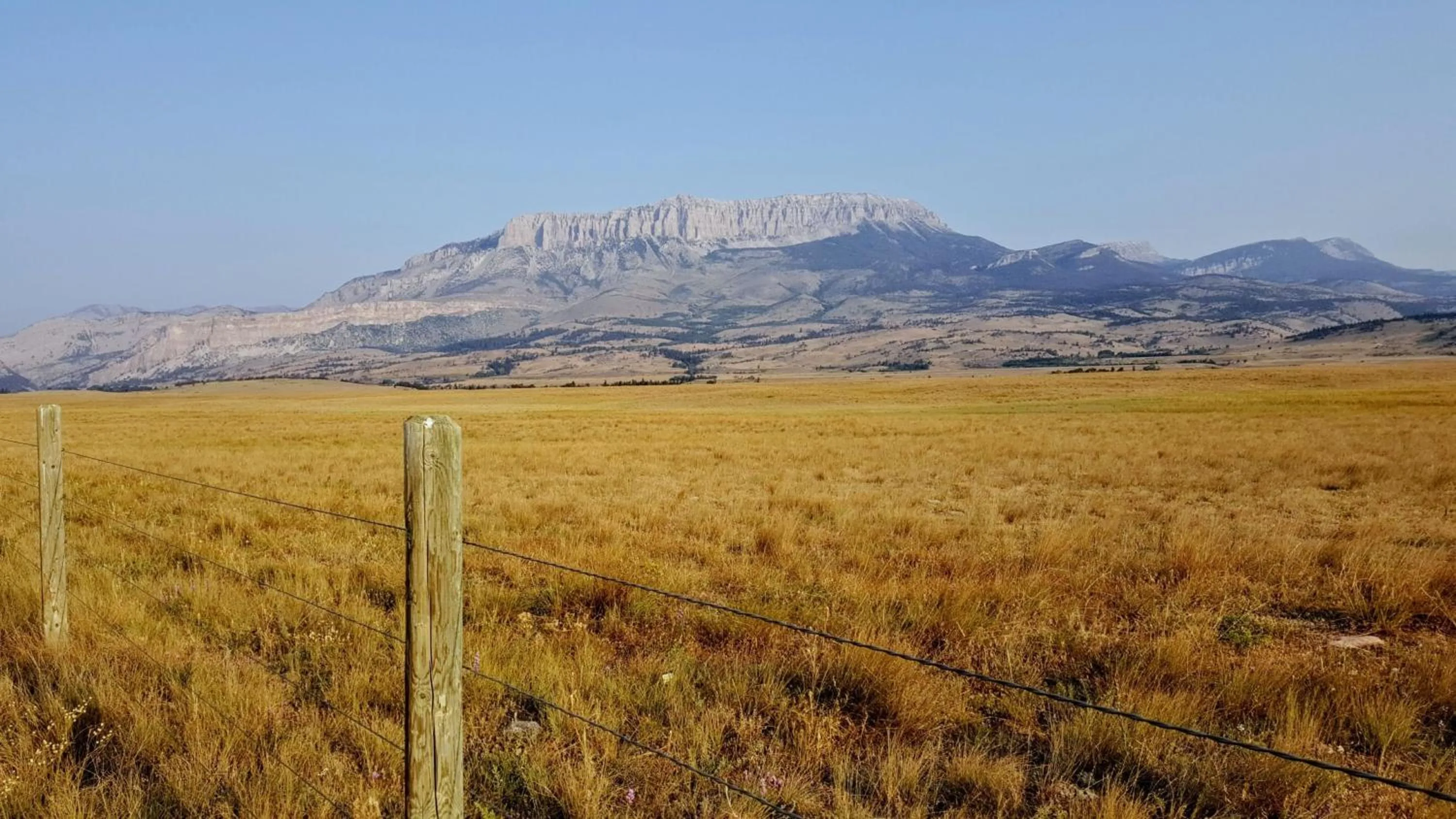 Nearby landmark in Staybridge Suites Great Falls by IHG