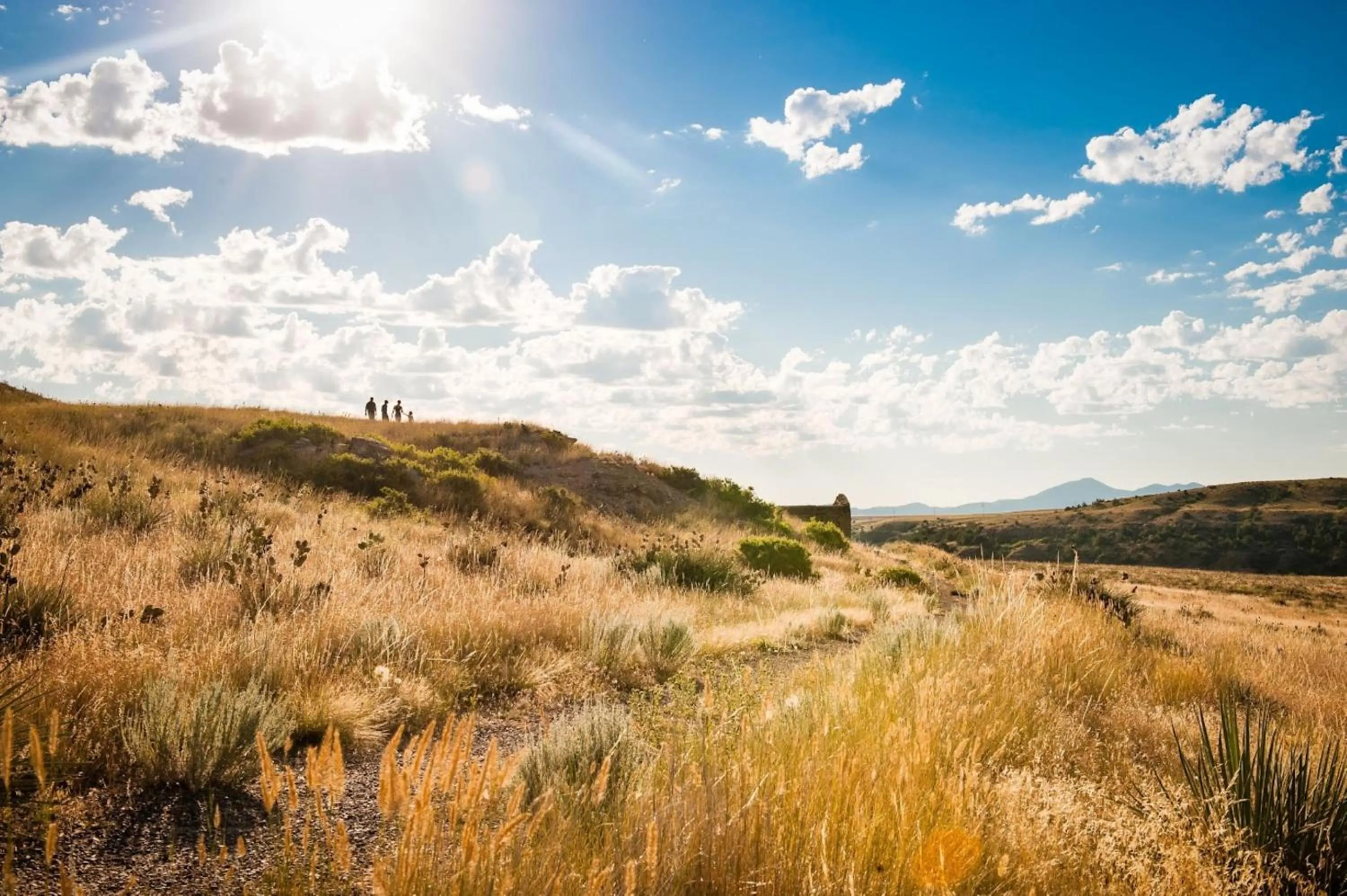 Nearby landmark in Staybridge Suites Great Falls by IHG