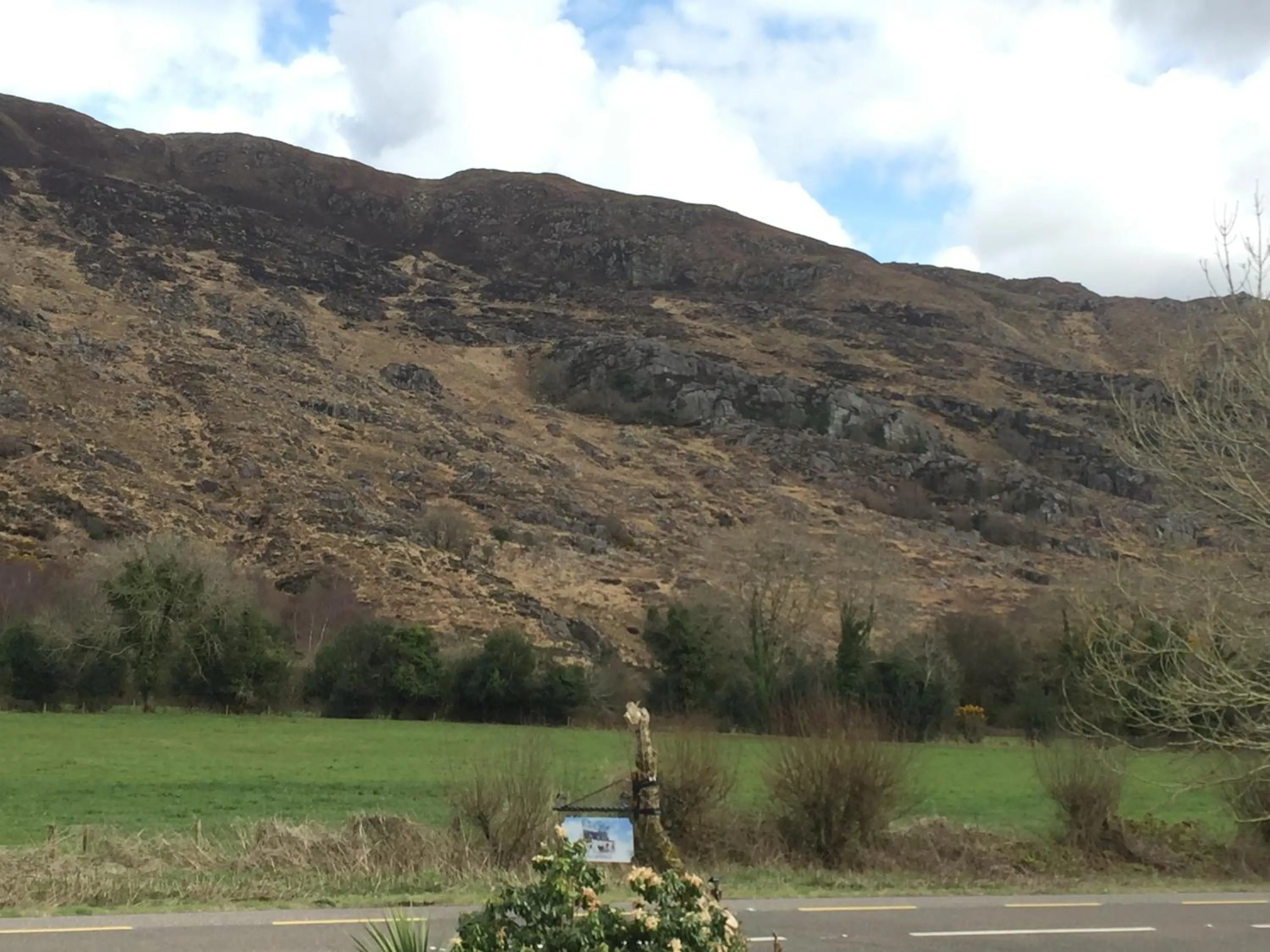 Garden view in The Glen Farmhouse