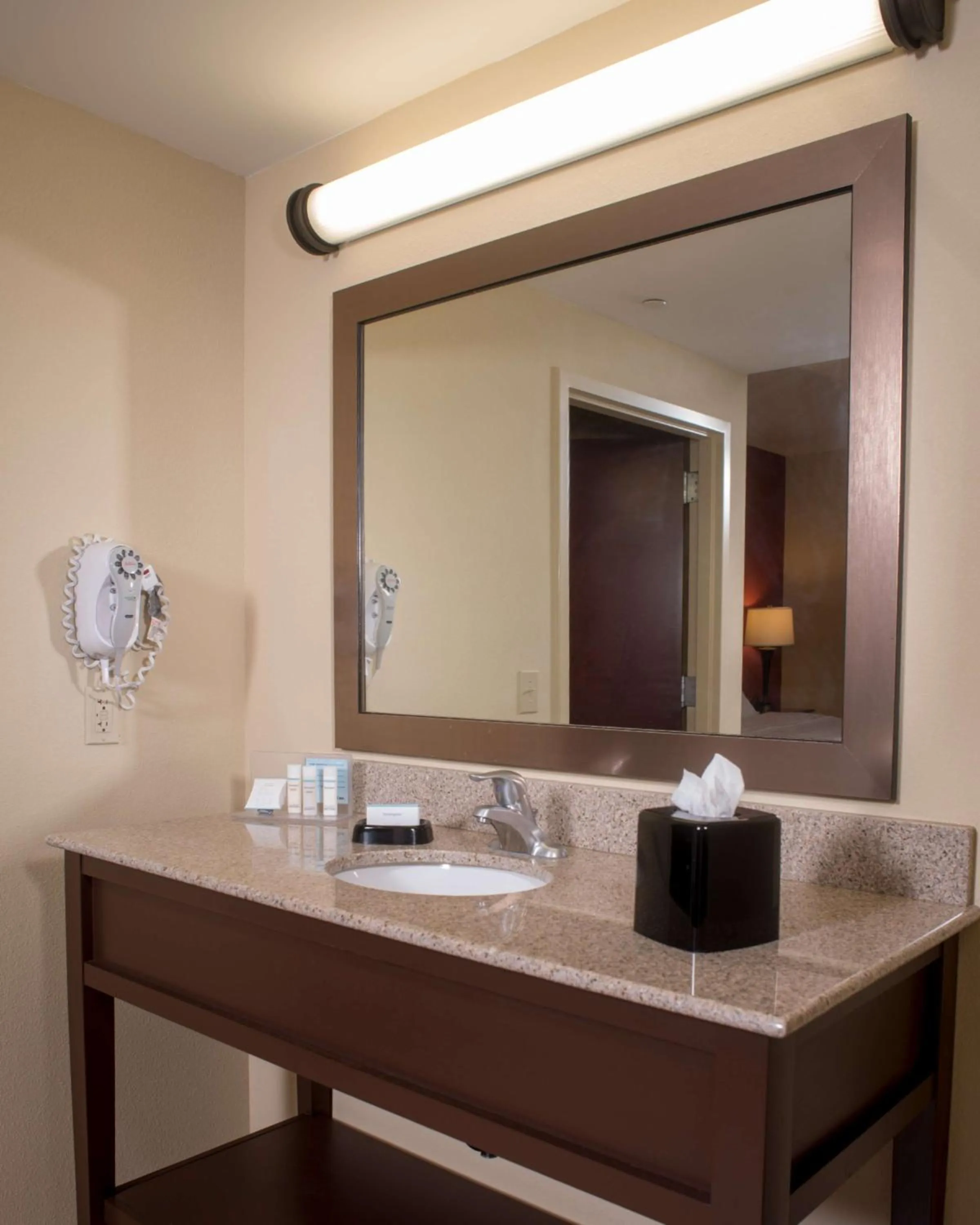 Bathroom in Hampton Inn and Suites Woodstock, Virginia